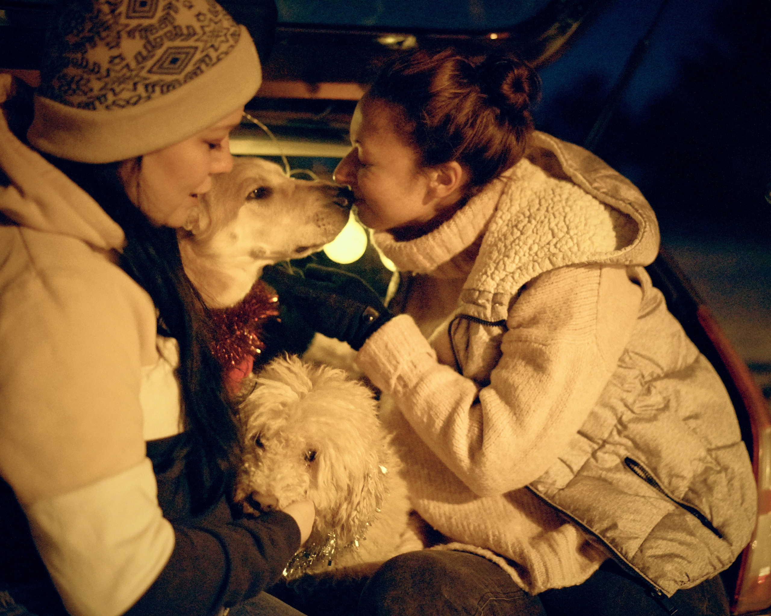 «Под светом уличного фонаря». Фотограф Казань