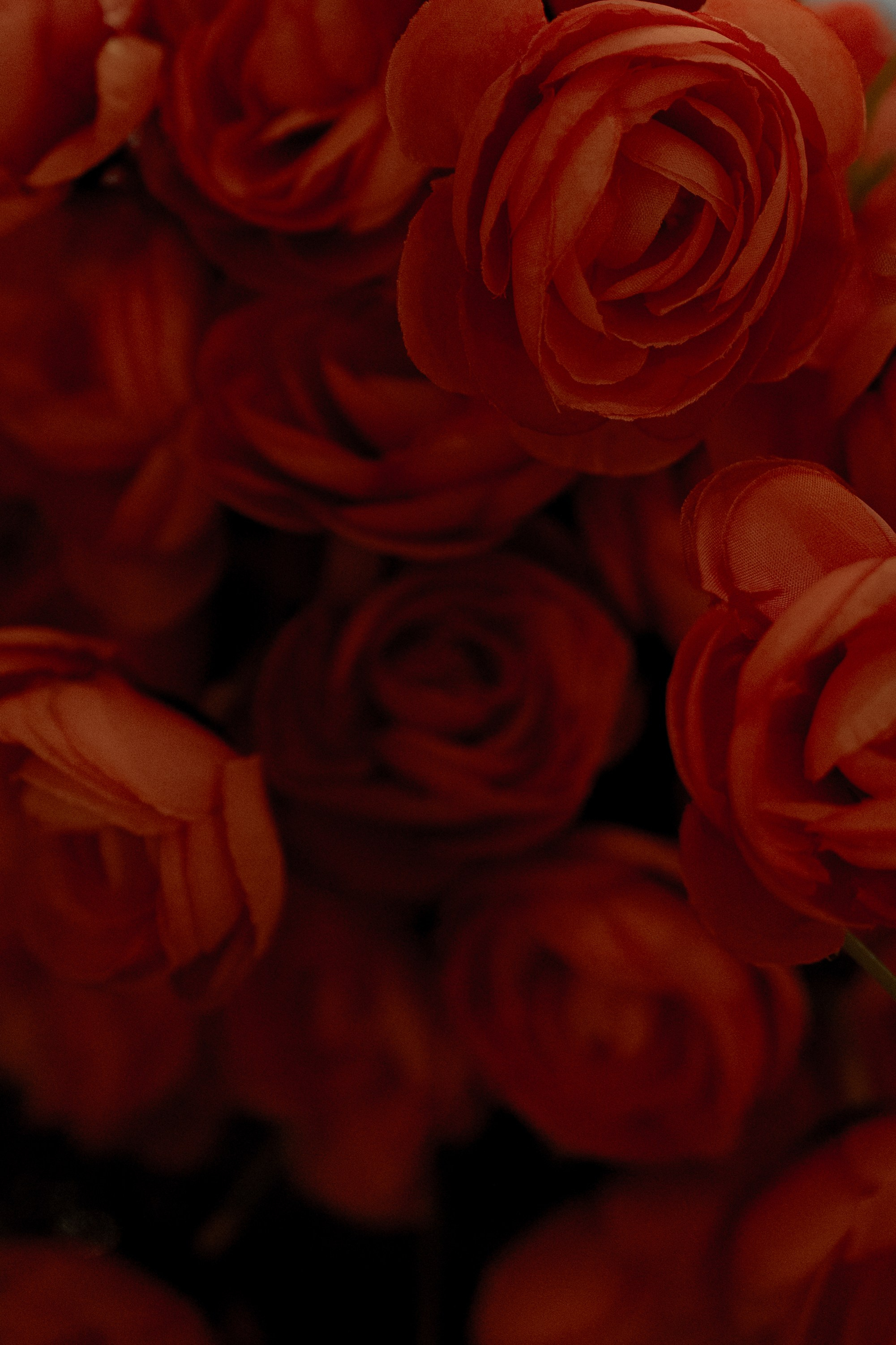 Karina+Danya. Семейный и портретный фотограф в Саратове Сахарова Маша