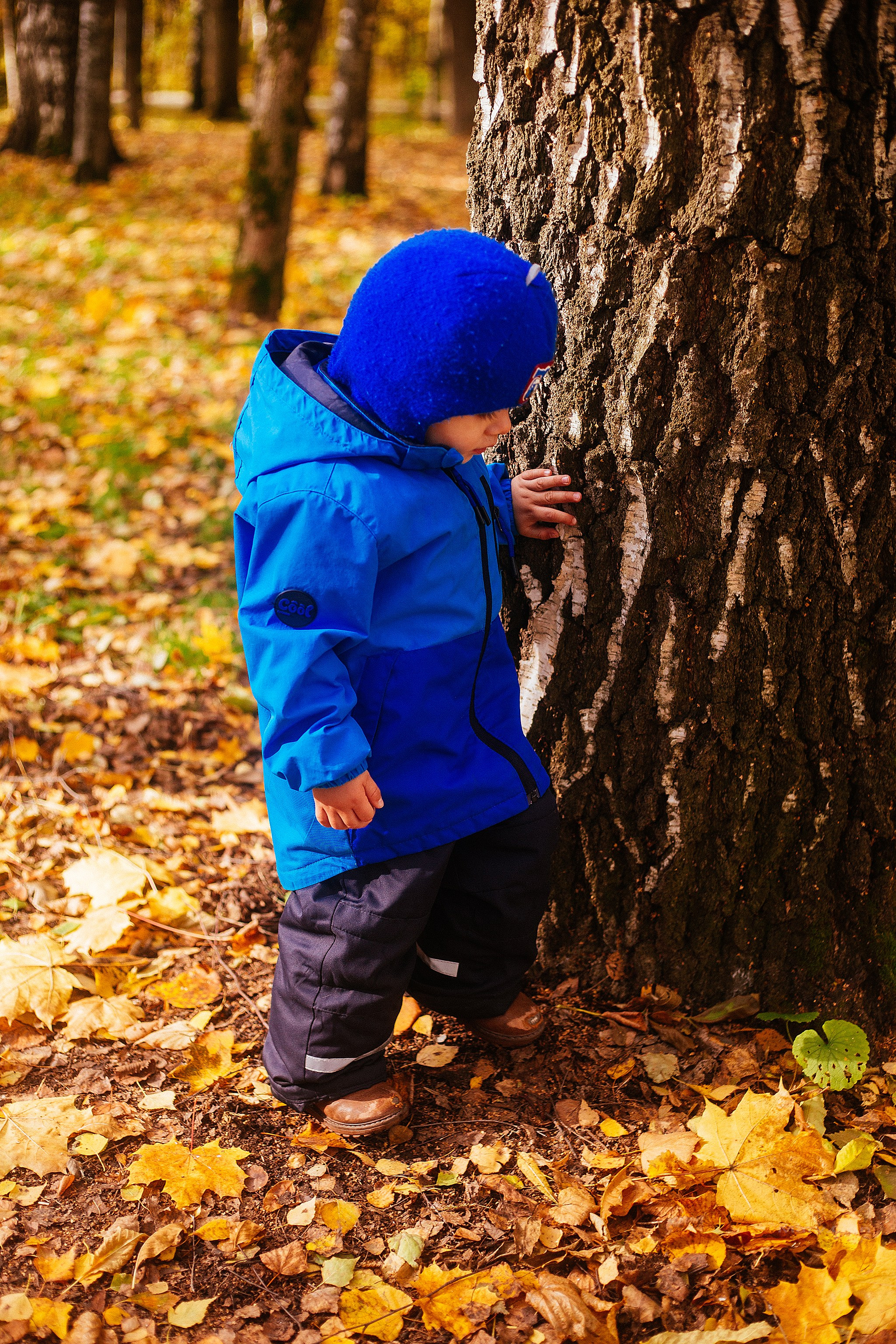 Осень в парке. Детский и семейный фотограф, фотограф мероприятий Нижний Новгород
