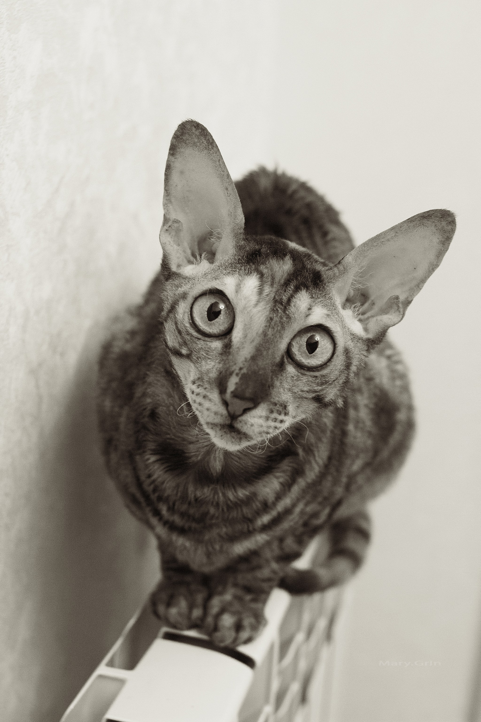 Вне времени. Детский и семейный фотограф, фотограф мероприятий Нижний Новгород