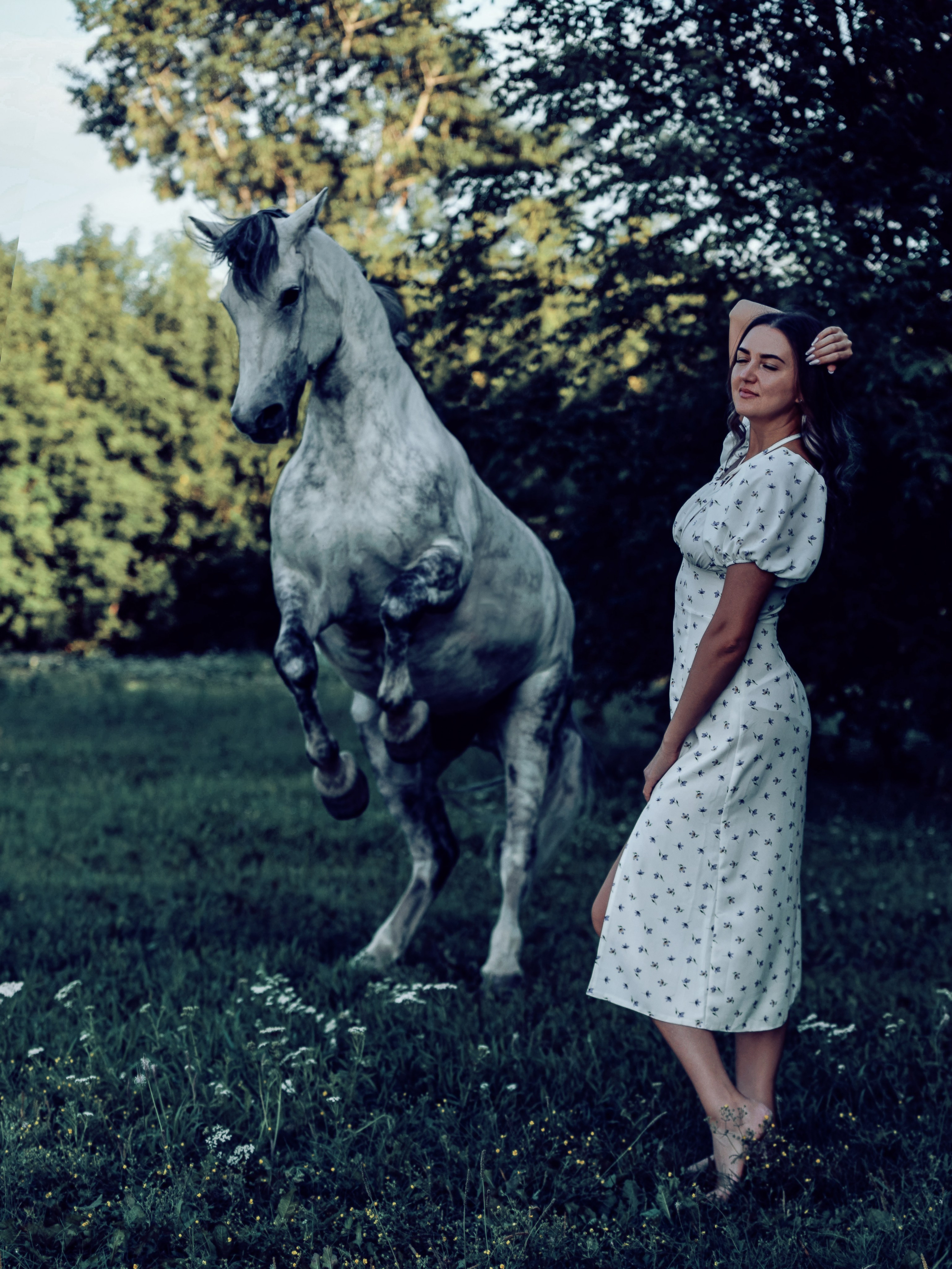 Карета 24. Конный фотограф в Красноярске — Любовь Похабова