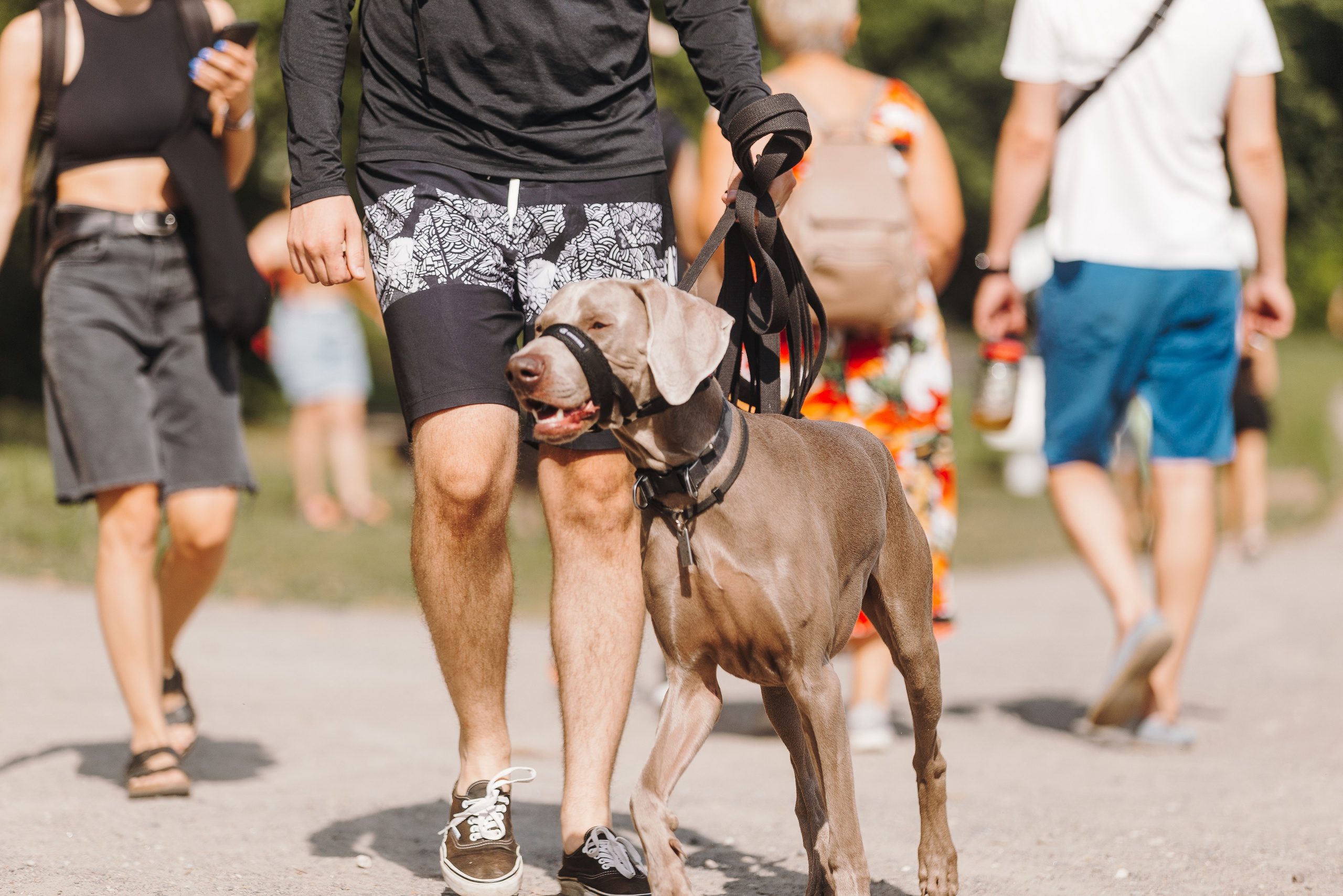 Petshop Sup day. Фотограф анималист Кристина Карпова, Москва