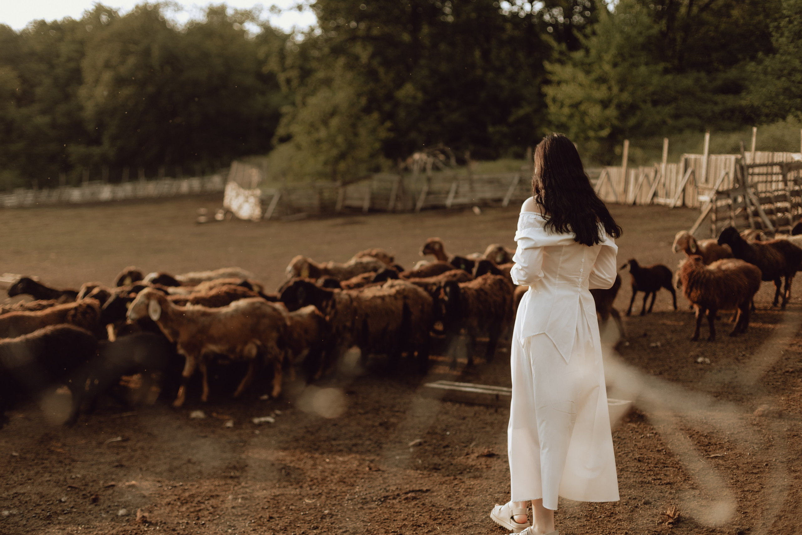 Наташа. Главная