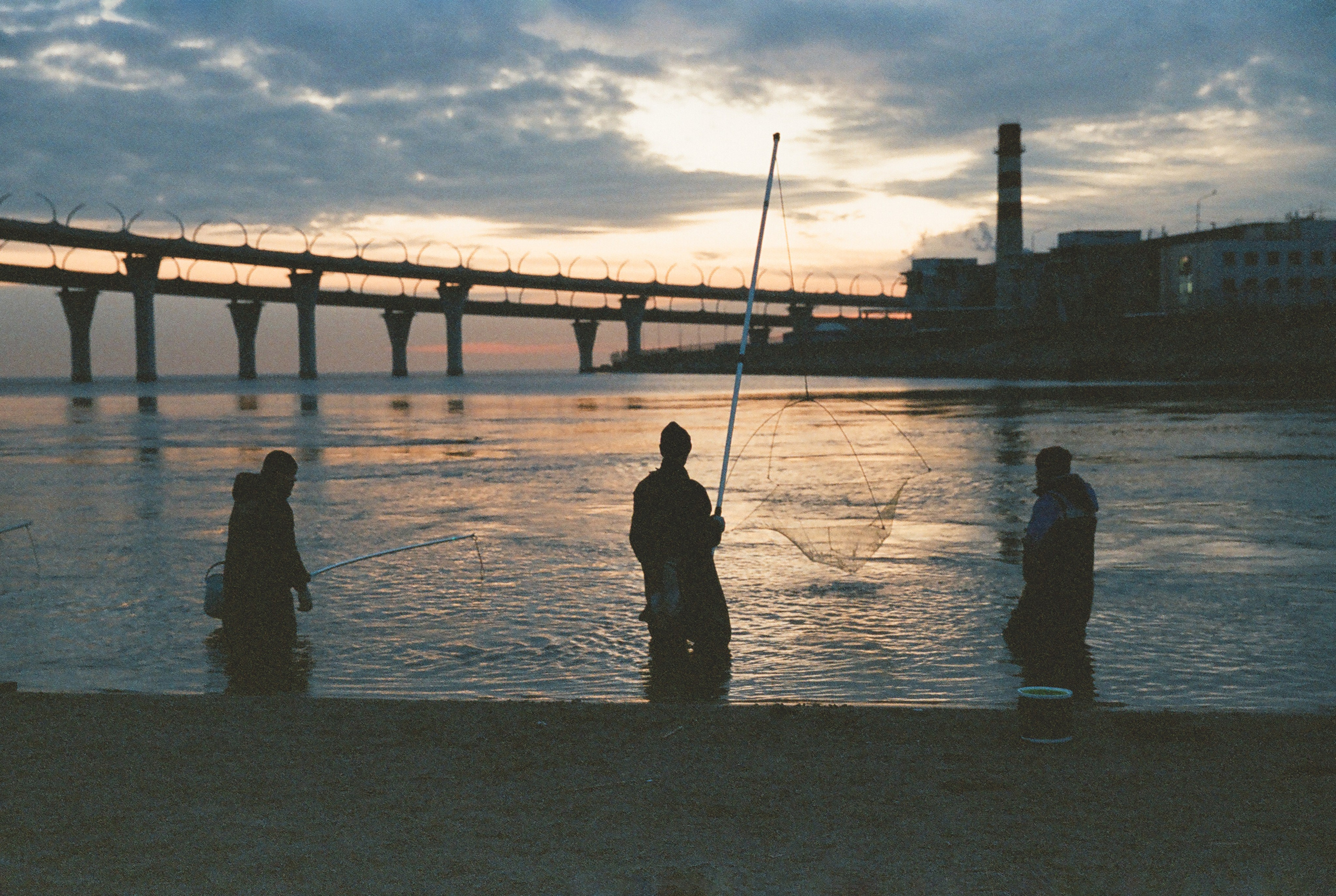 Фотографии цветные. Свадебный и семейный пленочный фотограф в Петербурге Истомина Ирина