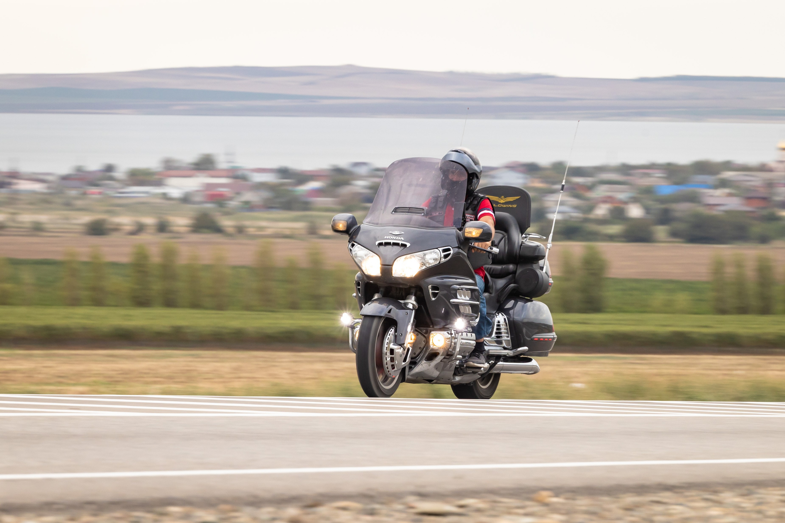 Южное Сафари в Тамани. Сентябрь 2024. Фотограф Владимир Охрименко