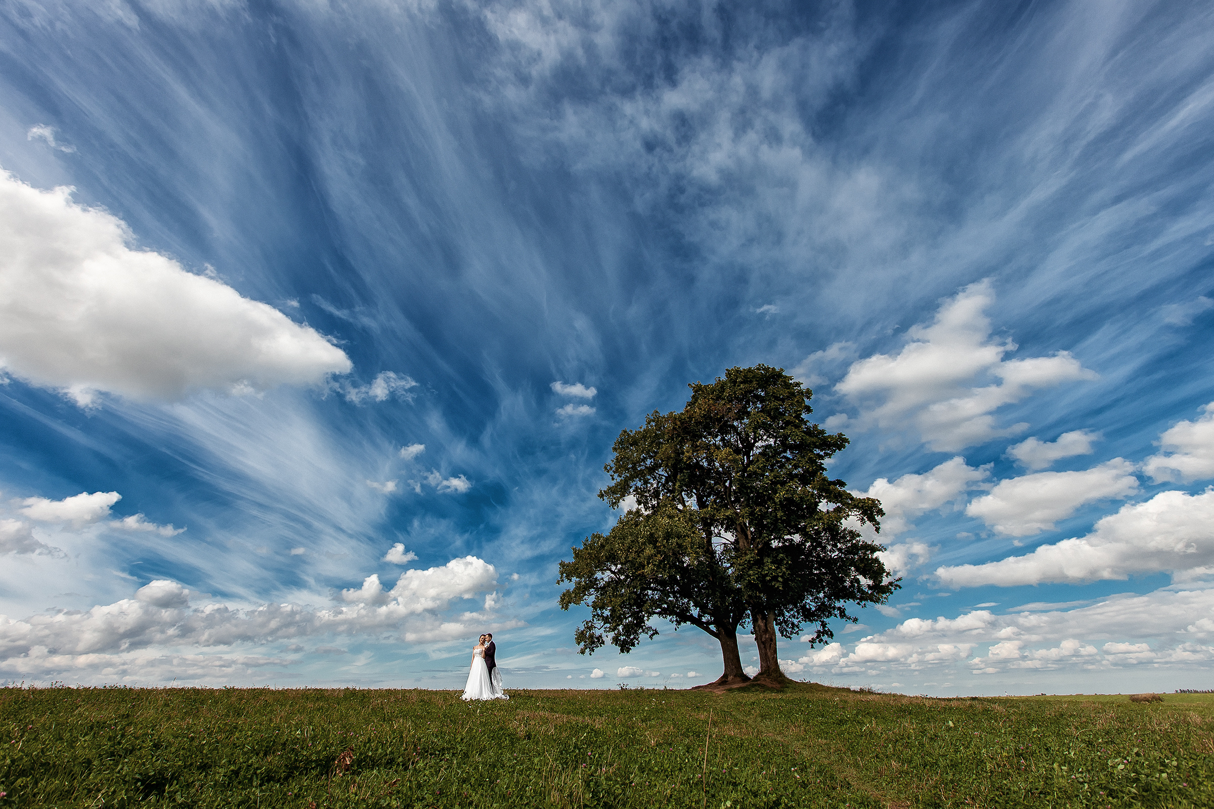 Отзывы о работе фотографа. Свадебный и семейный фотограф Алексей Аверин