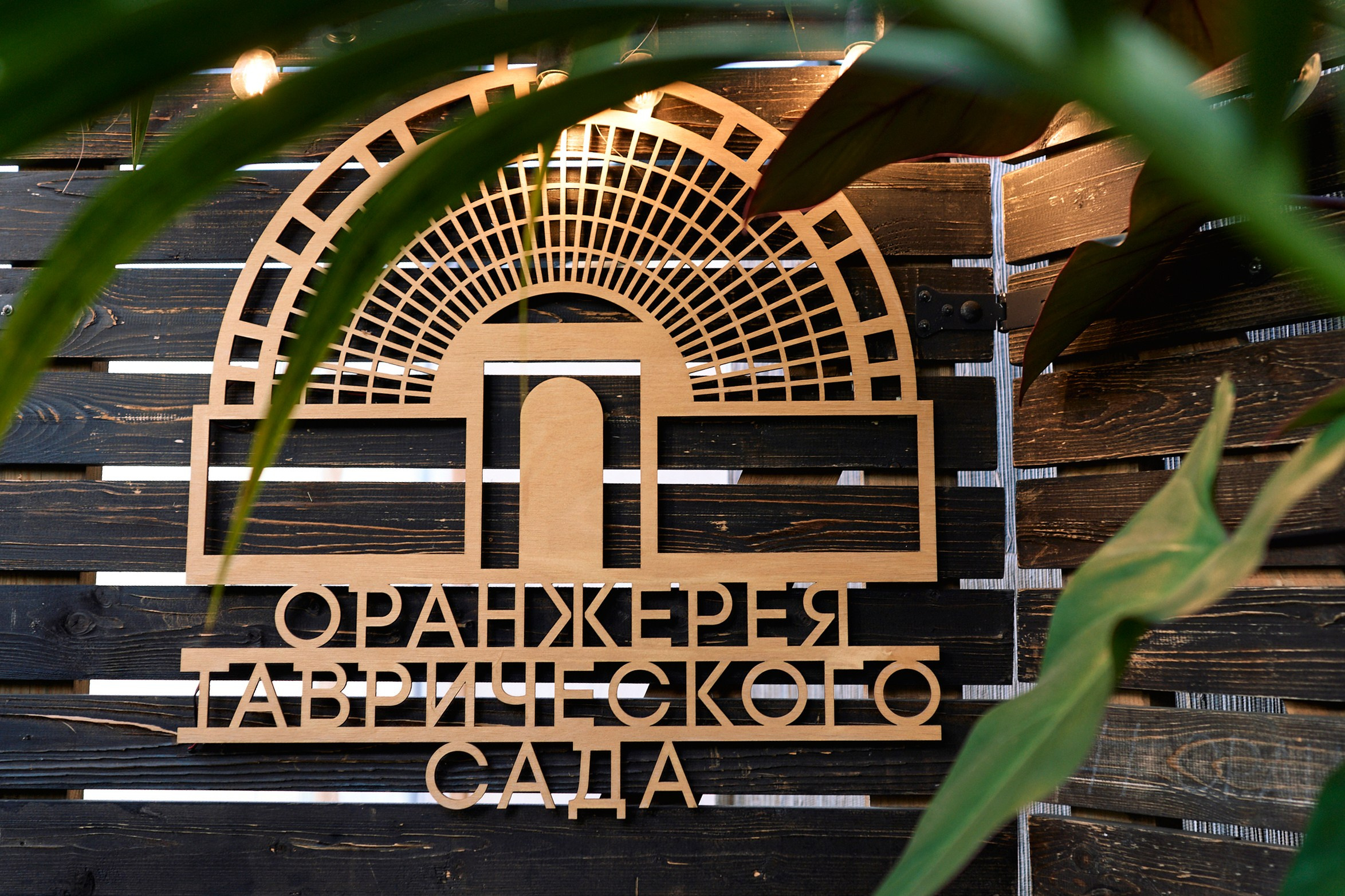 СЧАСТЬЕ В ОРАНЖЕРЕЕ. Photographer — ERASTOV