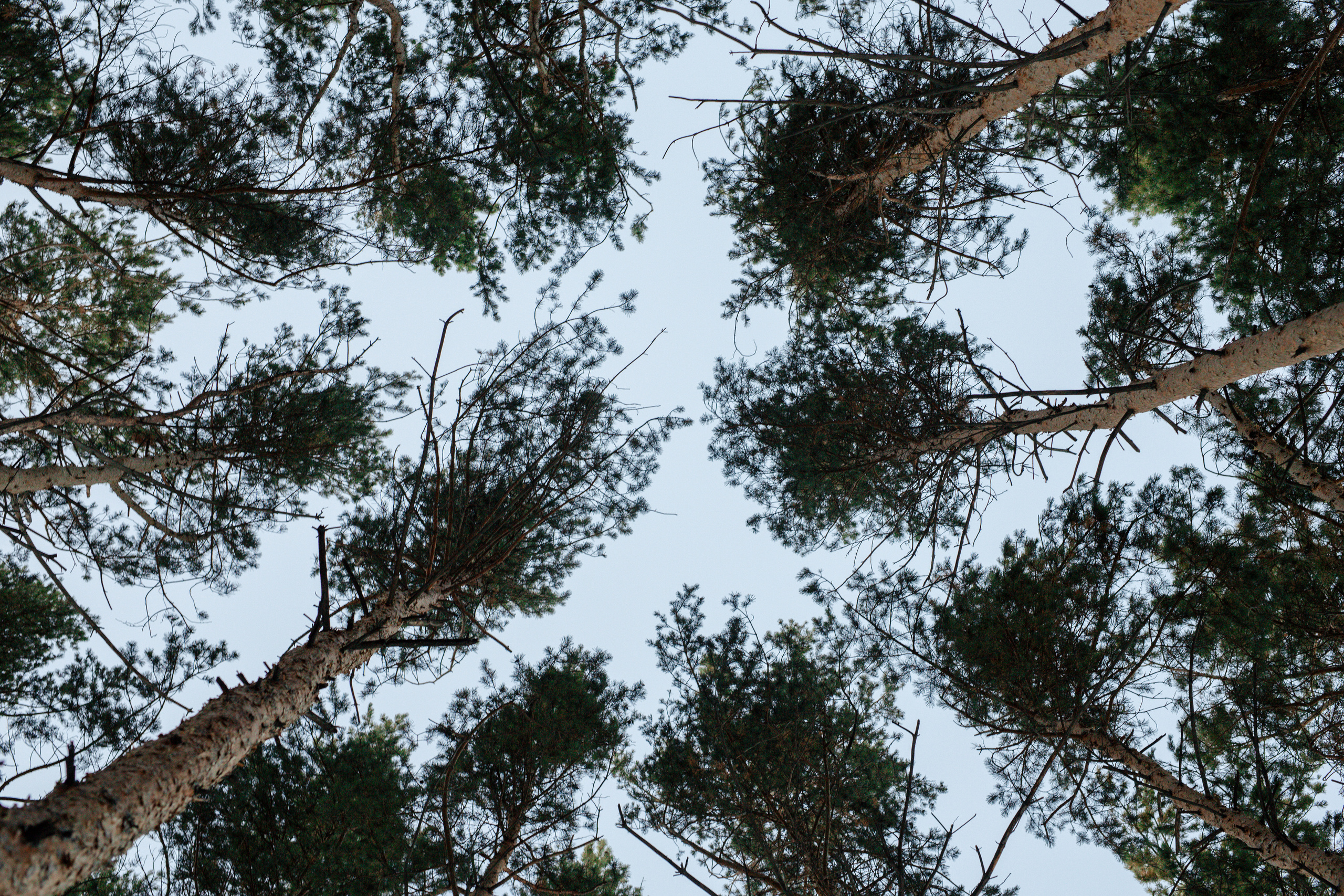 Визуал для ТУР БАЗЫ. Свадебный фотограф Виктория Чуйко Магнитогорск. Визуал для бизнеса