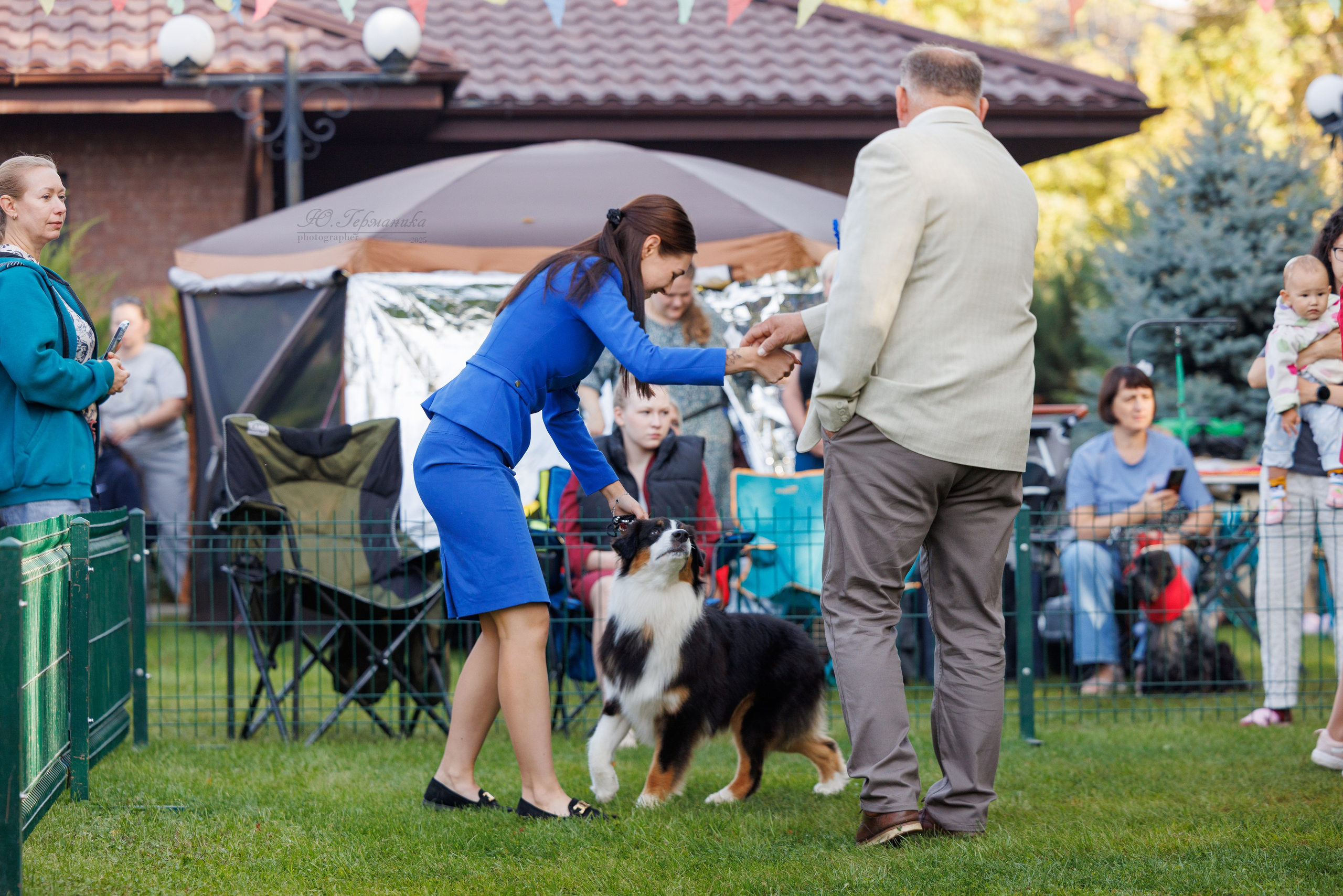 Бишкек 3х CACIB 26-28.09.2025. Фотограф-анималист Юлия Германика