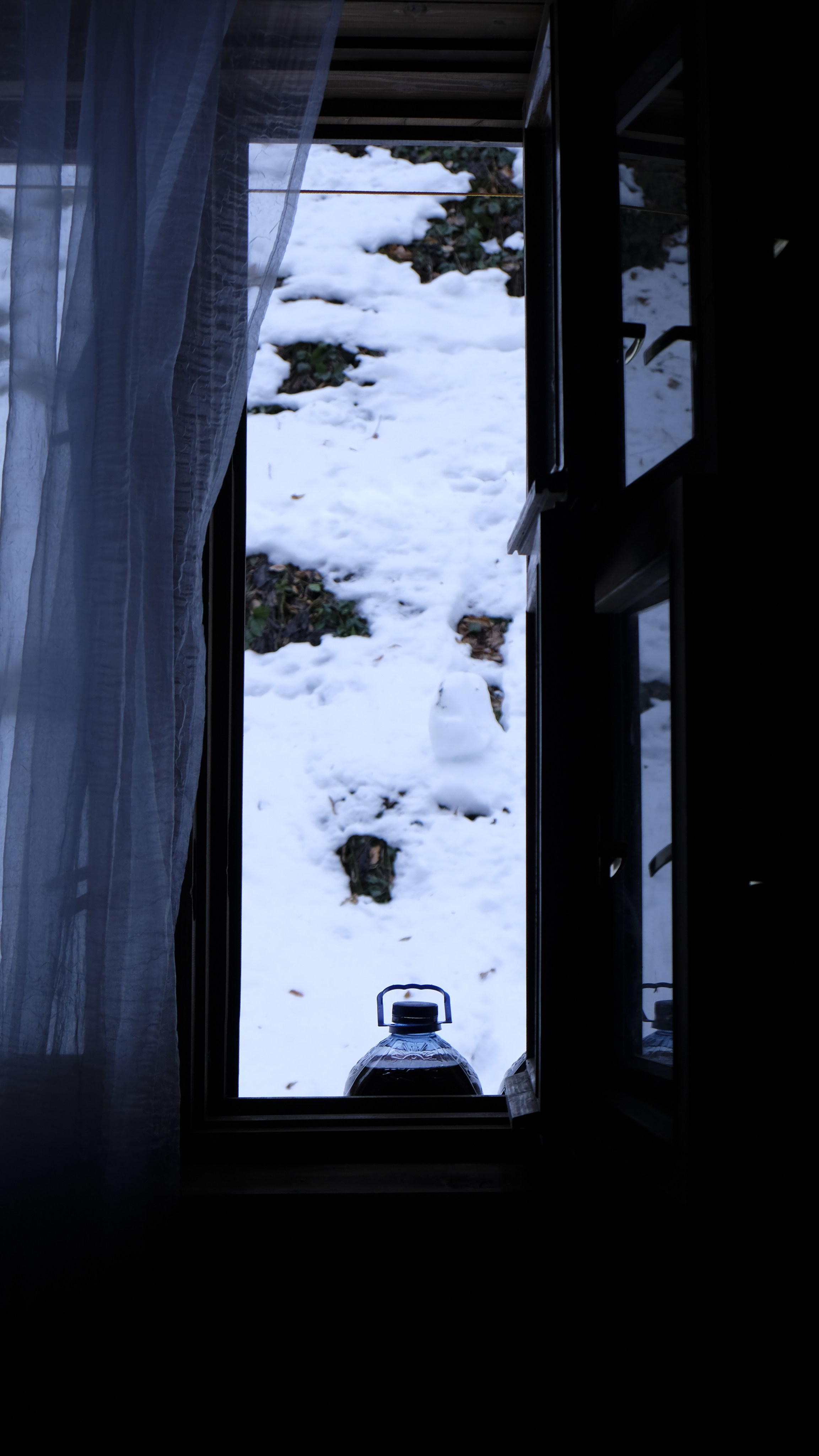 Сталинская дача на Рице зимой. Главная