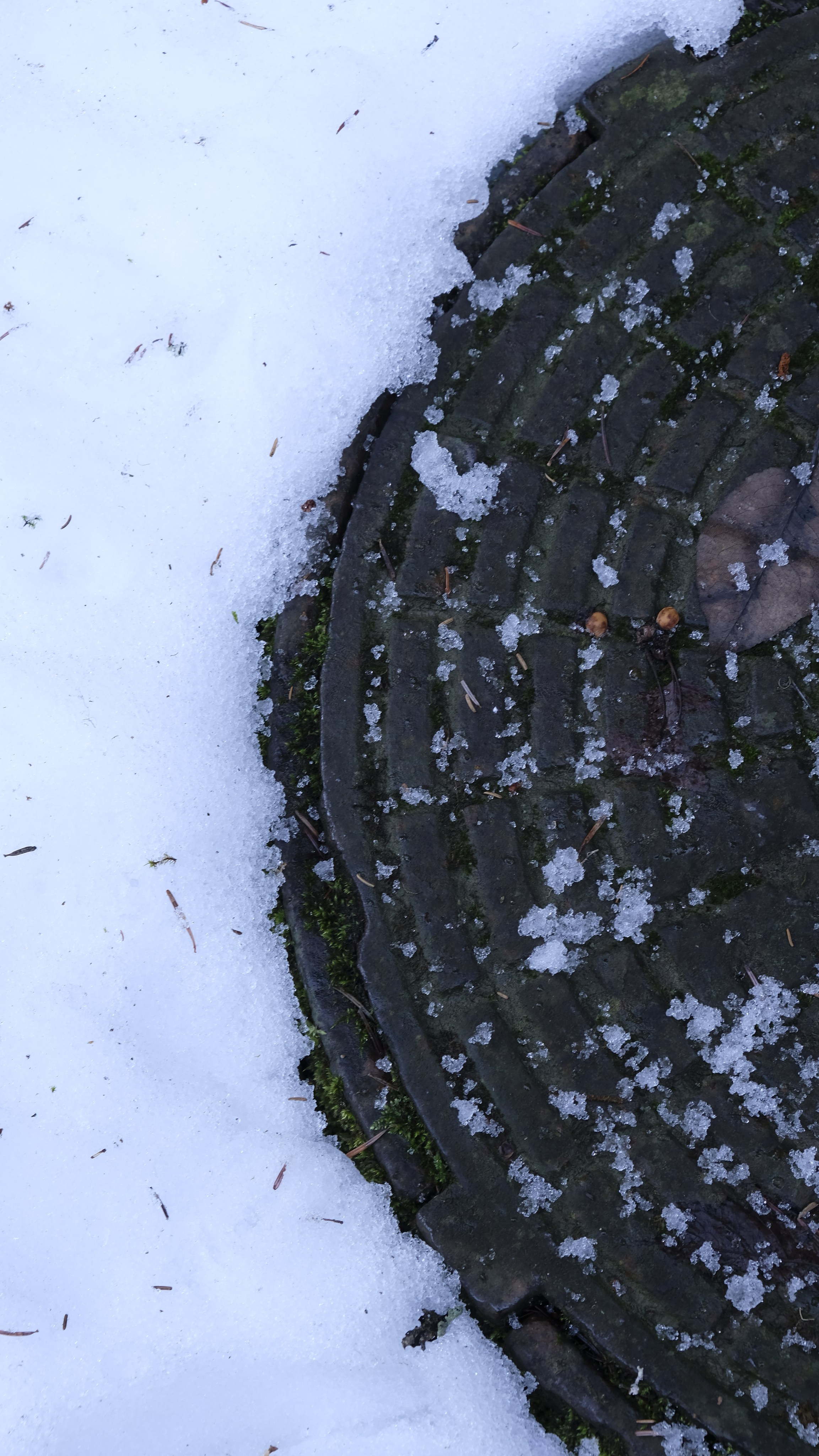 Сталинская дача на Рице зимой. Главная