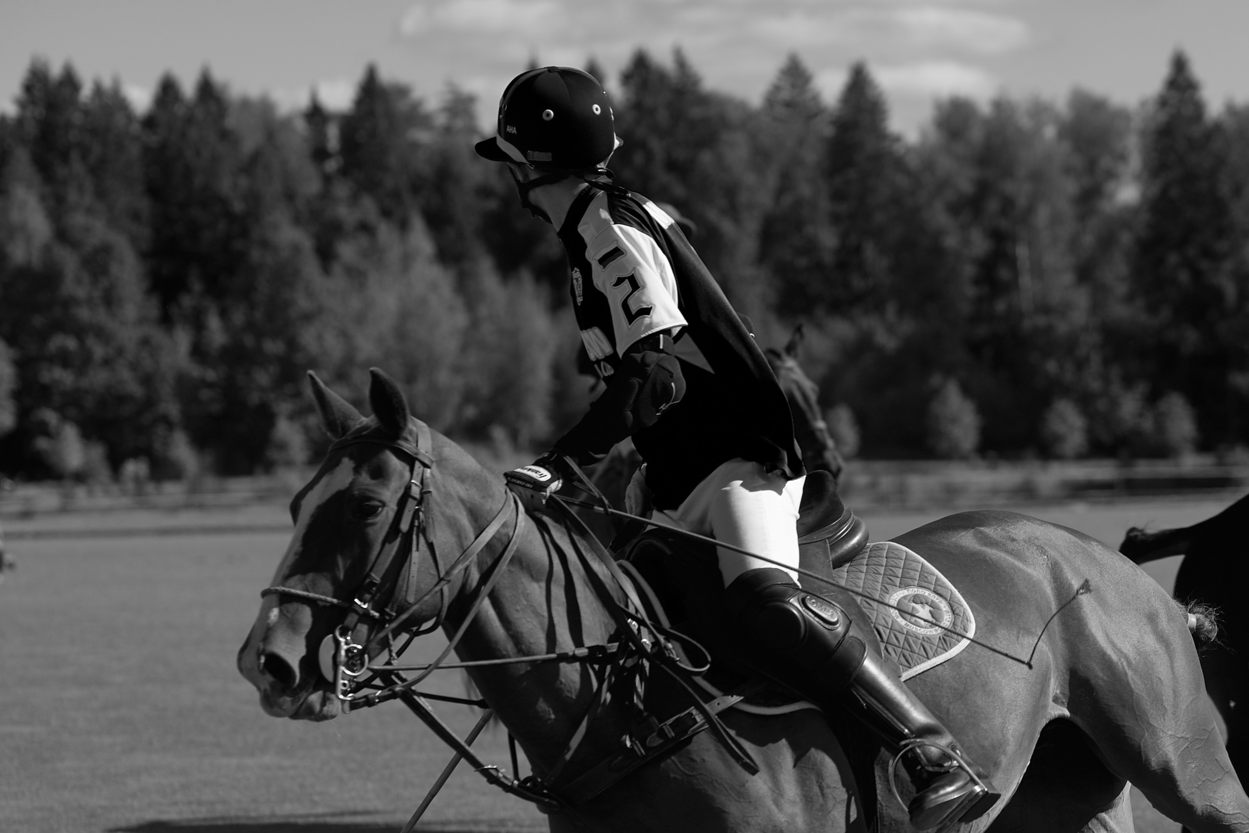 HORSE POLO. Фотограф Наталья Леонова