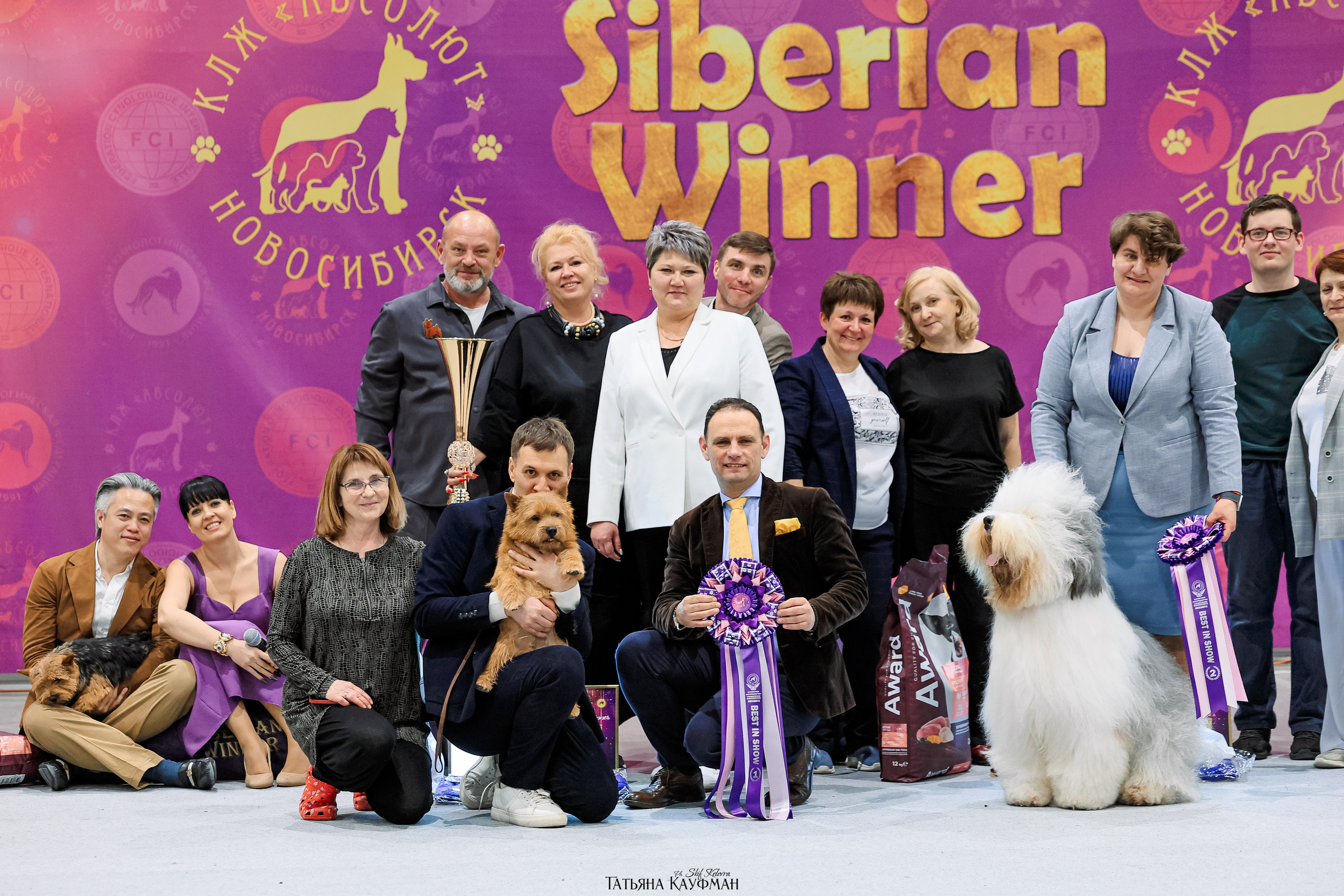 выставка собак в Новосибирске ABSOLUT WINNER-2026, Рейтинговая выставка собак