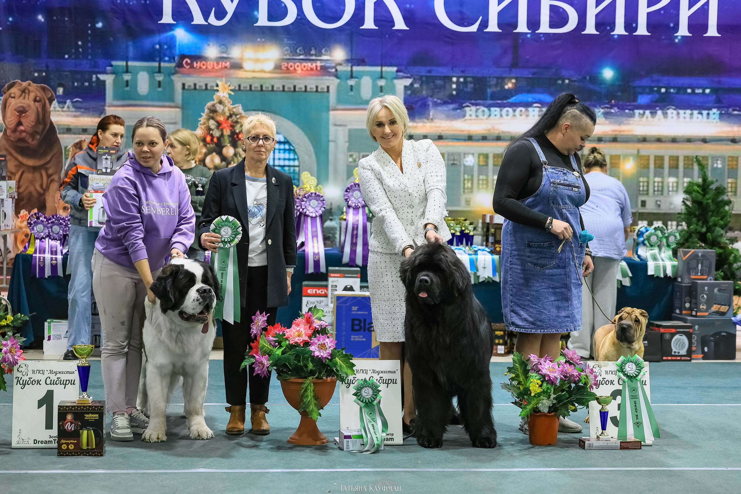6-7.12.25 — 1-4 Национальные выставки собак в Новосибирске (2х рейтинговые). Фотограф Анималист из Новосибирска Татьяна Кауфман