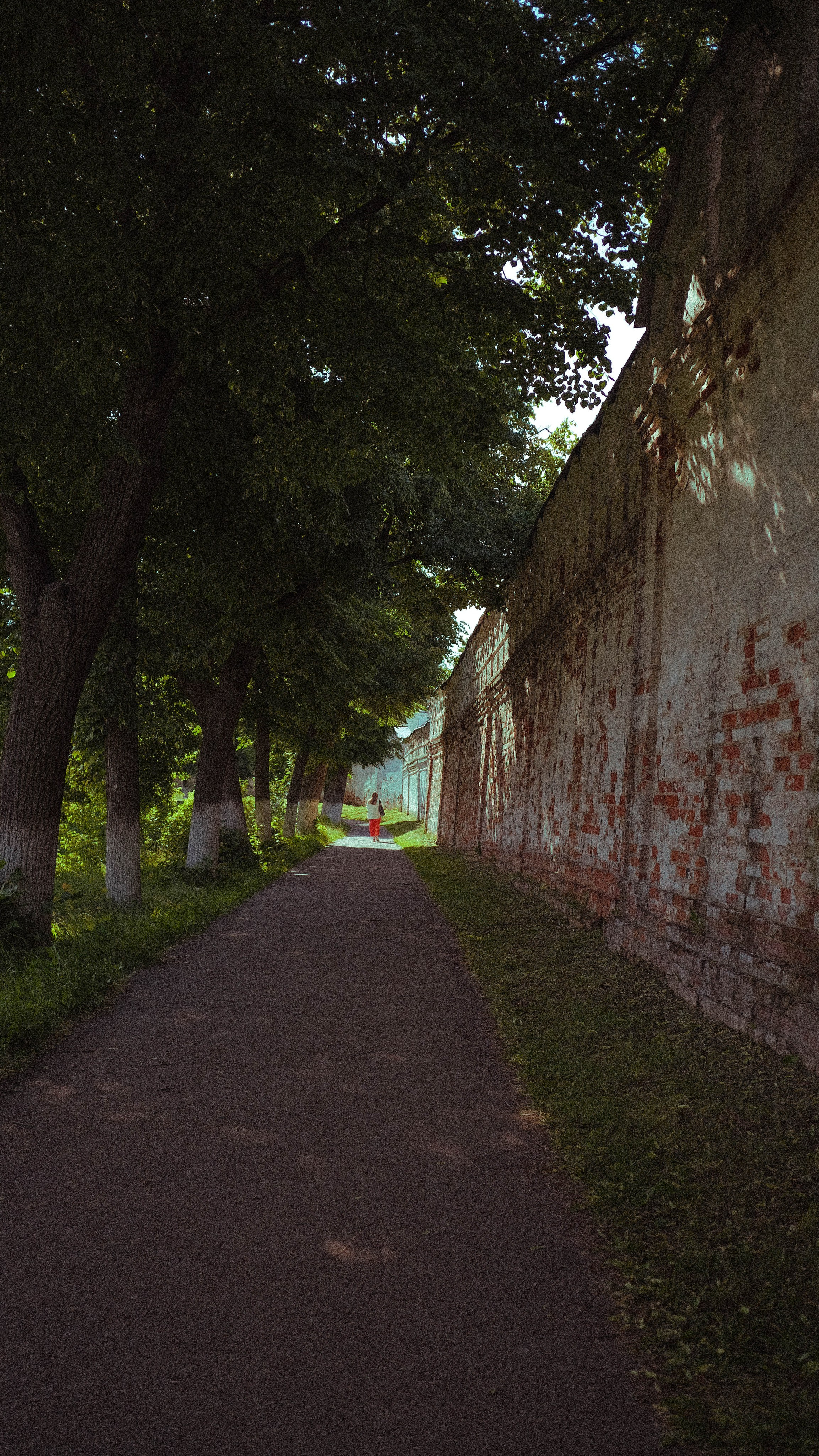 Владимир. LIYALEE PHOTO