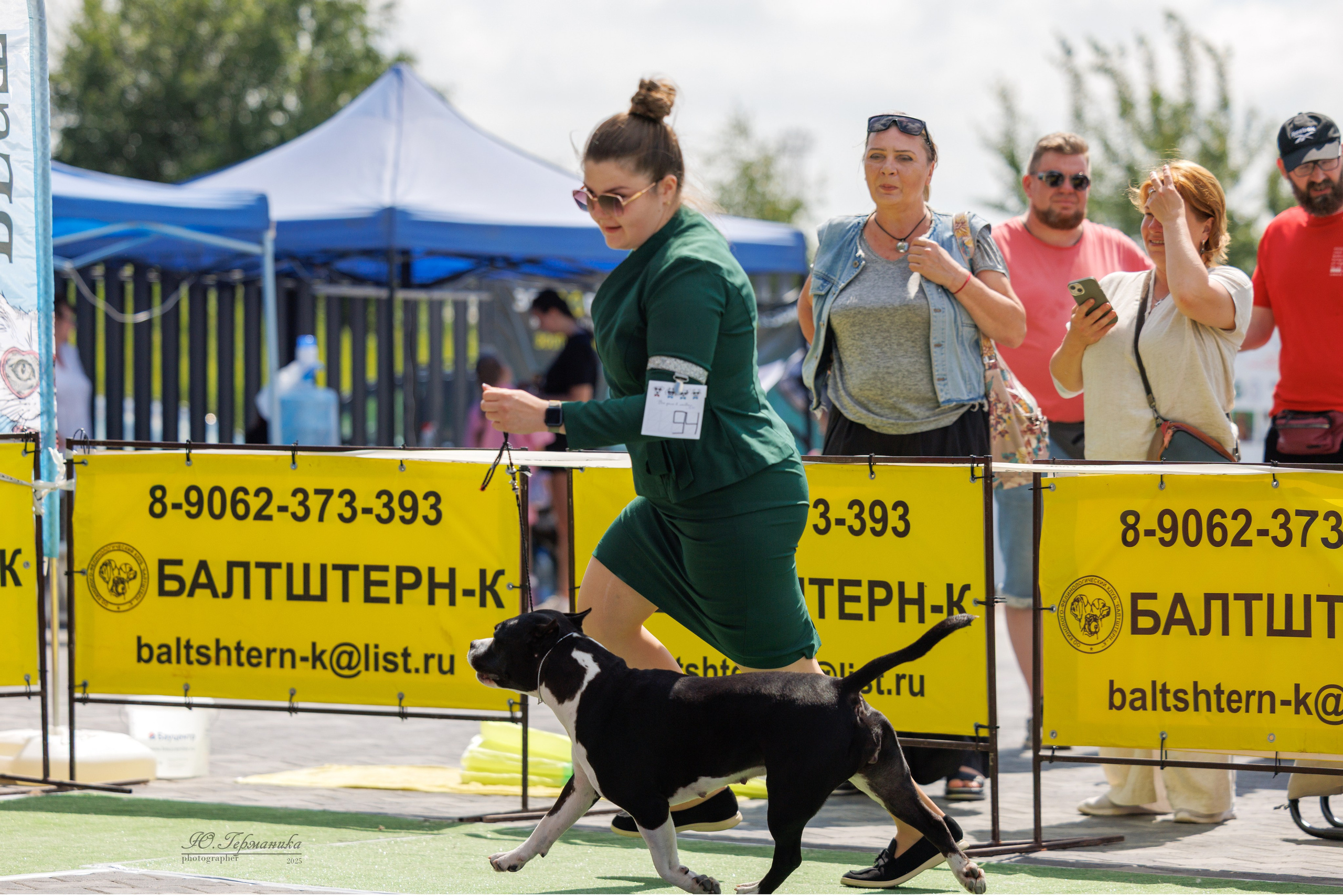 Калининград 25-27.07 Волгоград 1-3.08 2025. Фотограф-анималист Юлия Германика