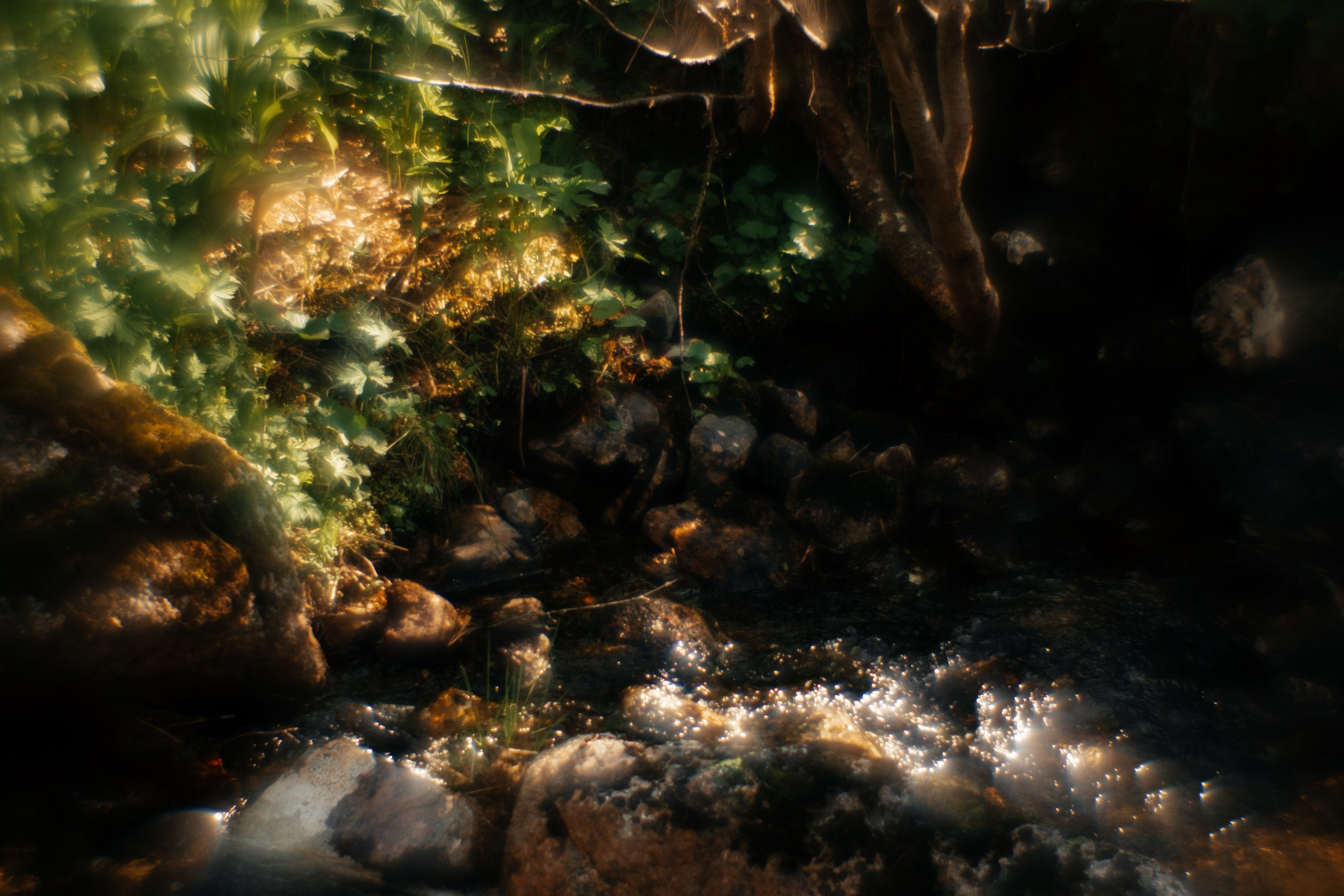 Ловец снов. Фотограф в Красноярске Оксана Корчагина