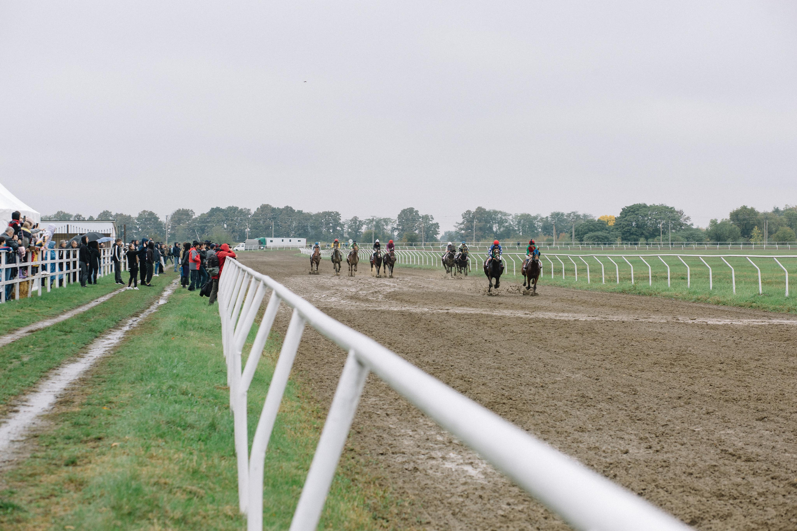 100-летие государственности Республики Адыгея. Скачки. Семейный и свадебный фотограф в Майкопе Михаил Мартиросян