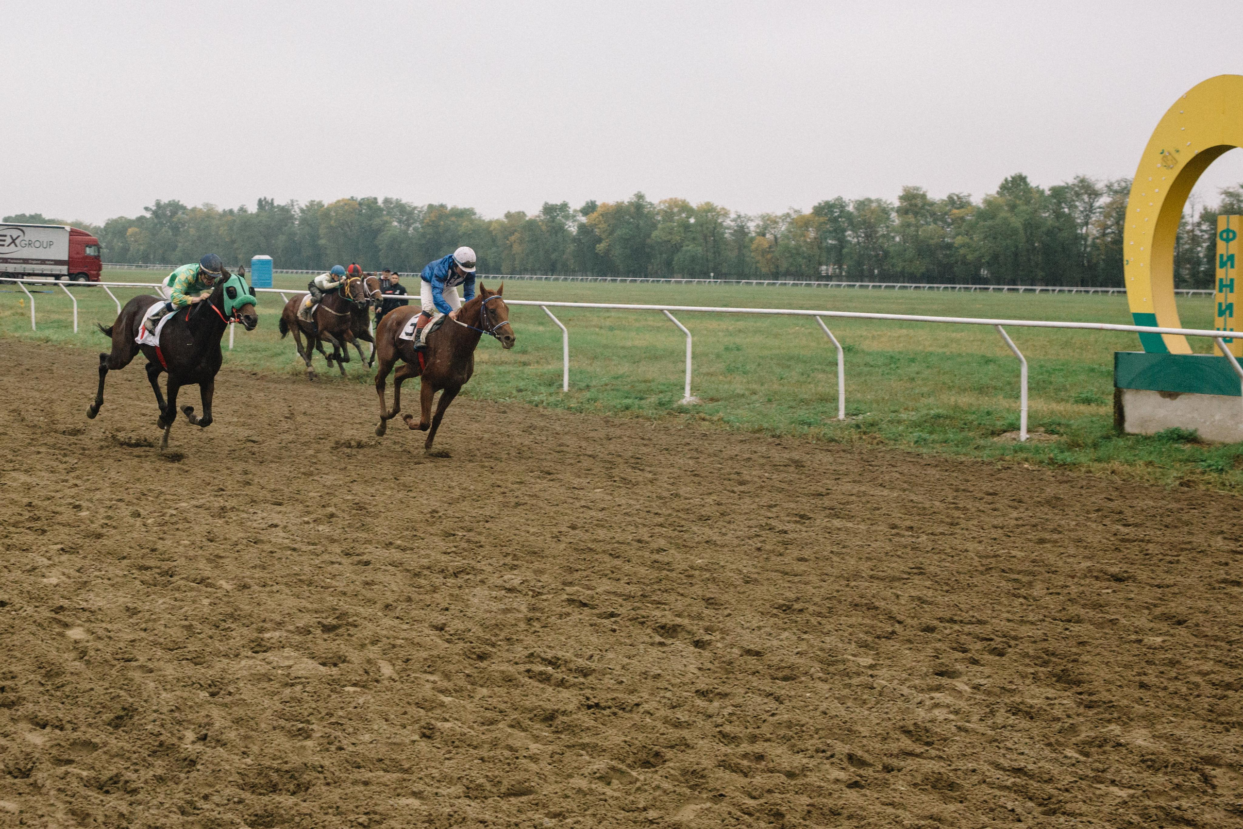 100-летие государственности Республики Адыгея. Скачки. Семейный и свадебный фотограф в Майкопе Михаил Мартиросян