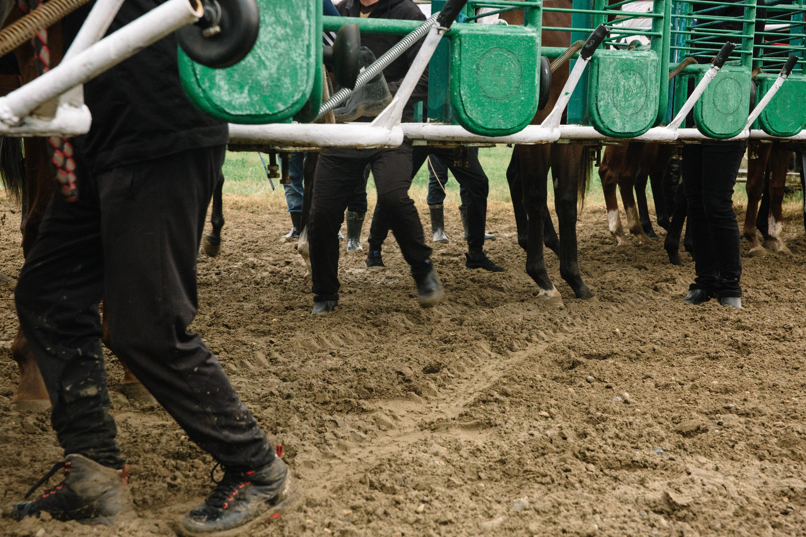 100-летие государственности Республики Адыгея. Скачки. Семейный и свадебный фотограф в Майкопе Михаил Мартиросян