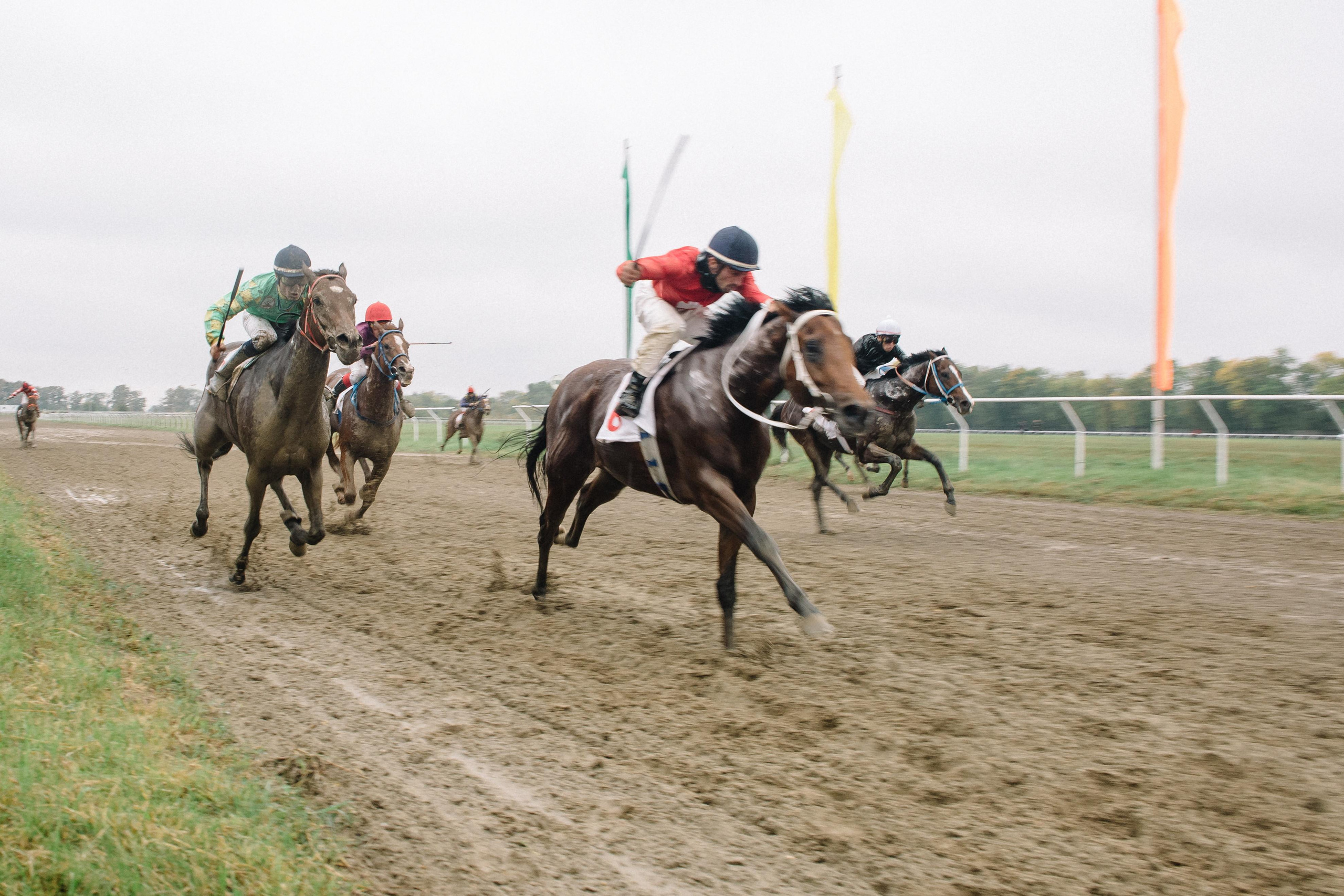 100-летие государственности Республики Адыгея. Скачки. Семейный и свадебный фотограф в Майкопе Михаил Мартиросян