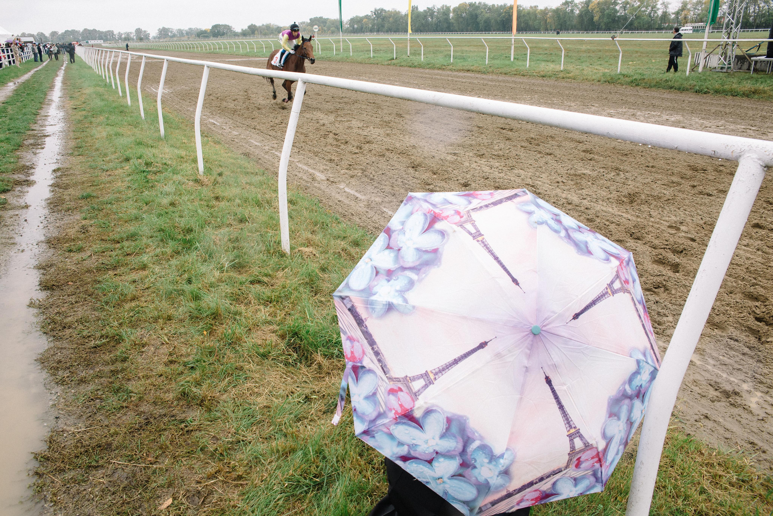 100-летие государственности Республики Адыгея. Скачки. Семейный и свадебный фотограф в Майкопе Михаил Мартиросян