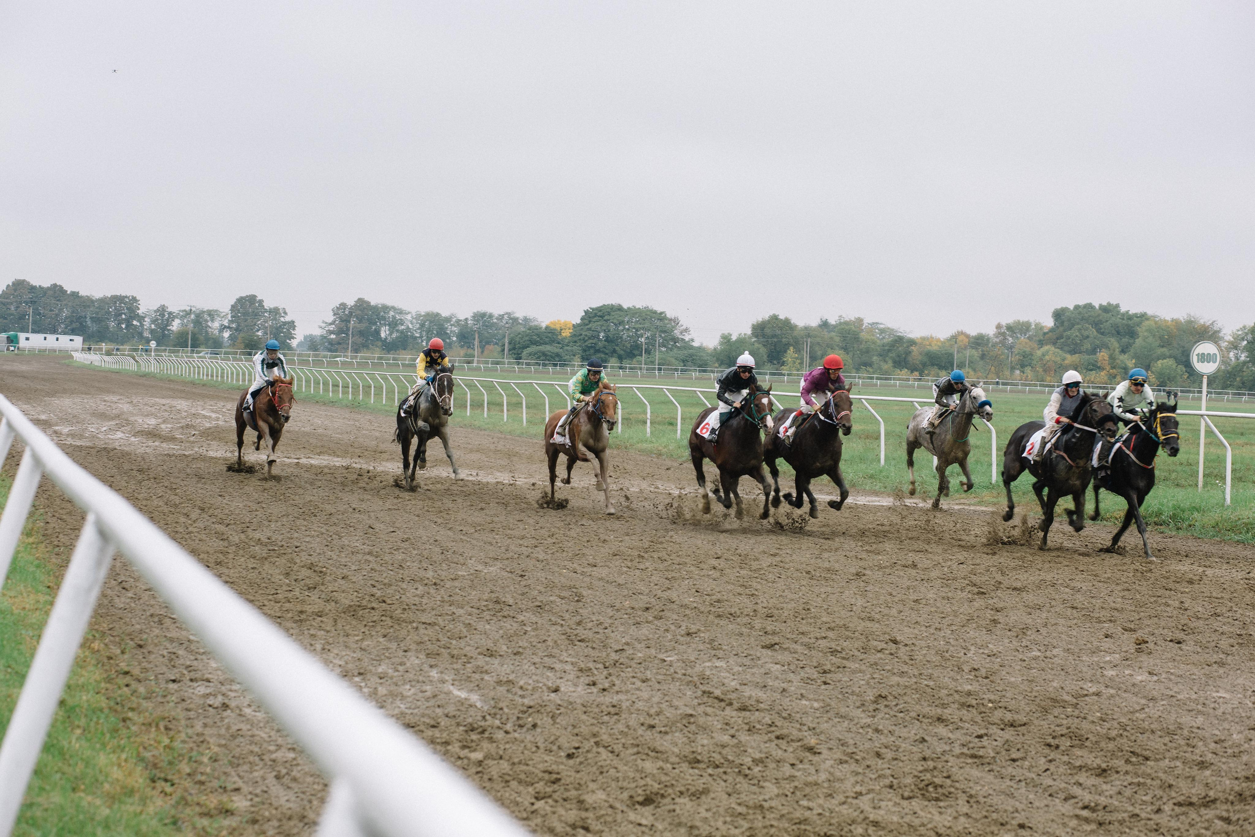 100-летие государственности Республики Адыгея. Скачки. Семейный и свадебный фотограф в Майкопе Михаил Мартиросян
