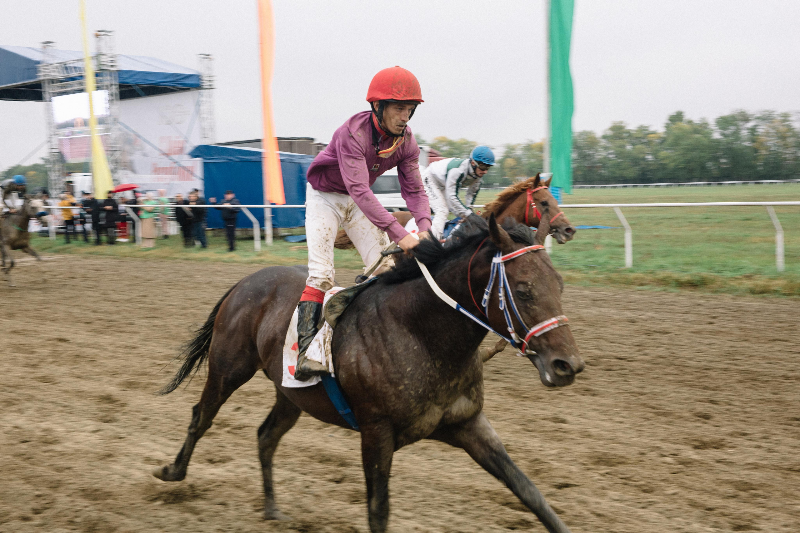 100-летие государственности Республики Адыгея. Скачки. Семейный и свадебный фотограф в Майкопе Михаил Мартиросян