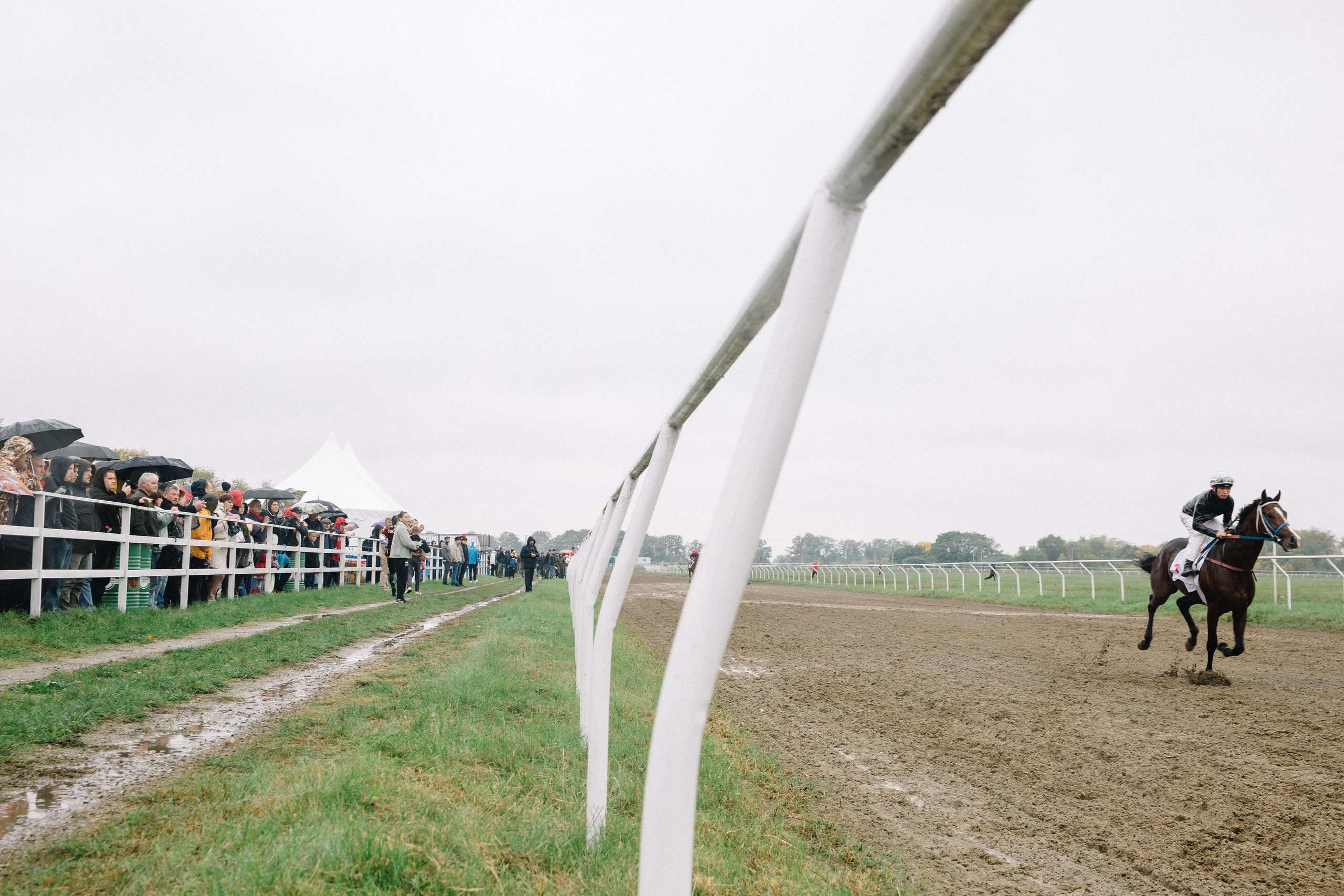 100-летие государственности Республики Адыгея. Скачки. Семейный и свадебный фотограф в Майкопе Михаил Мартиросян