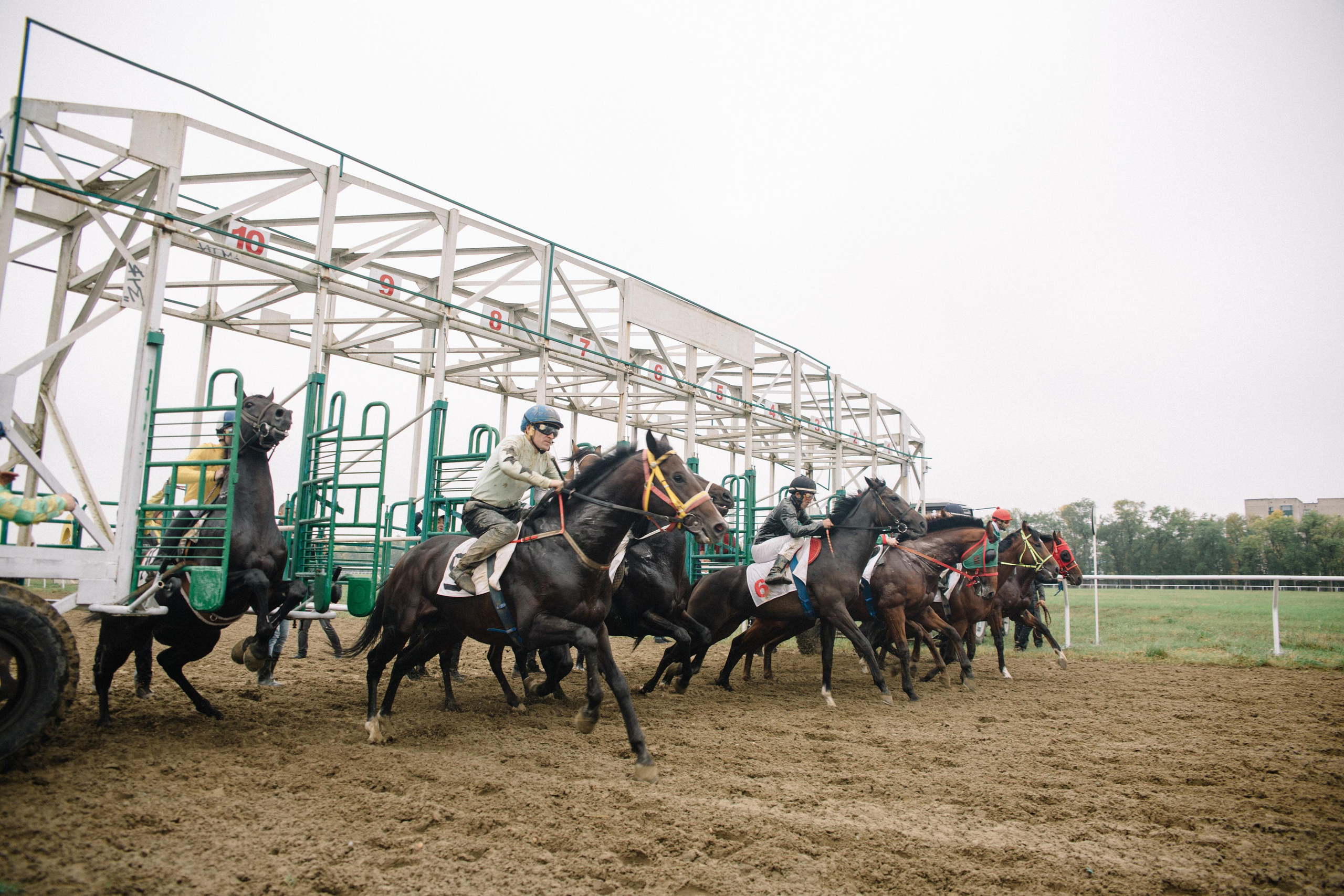 100-летие государственности Республики Адыгея. Скачки. Семейный и свадебный фотограф в Майкопе Михаил Мартиросян