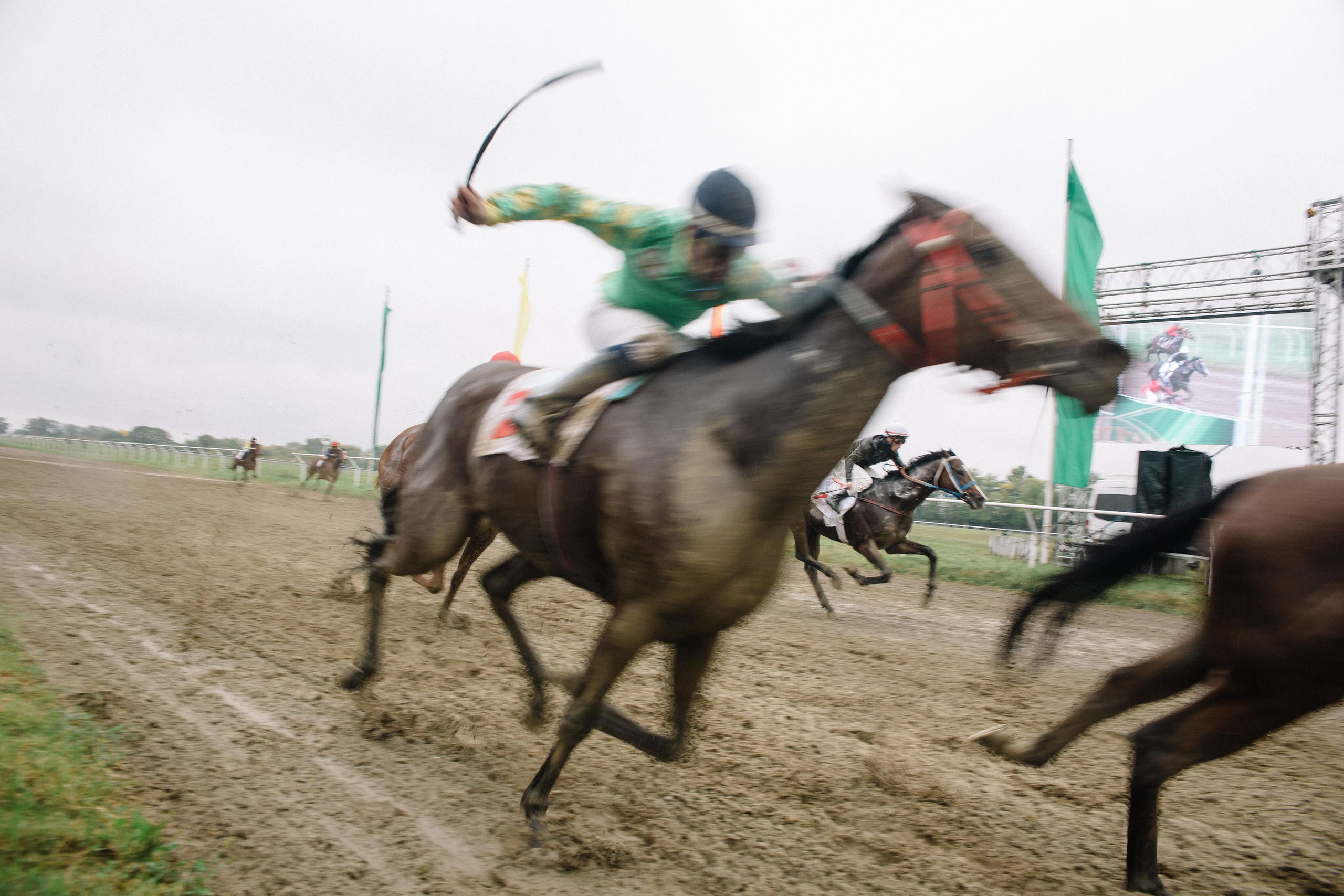 100-летие государственности Республики Адыгея. Скачки. Семейный и свадебный фотограф в Майкопе Михаил Мартиросян