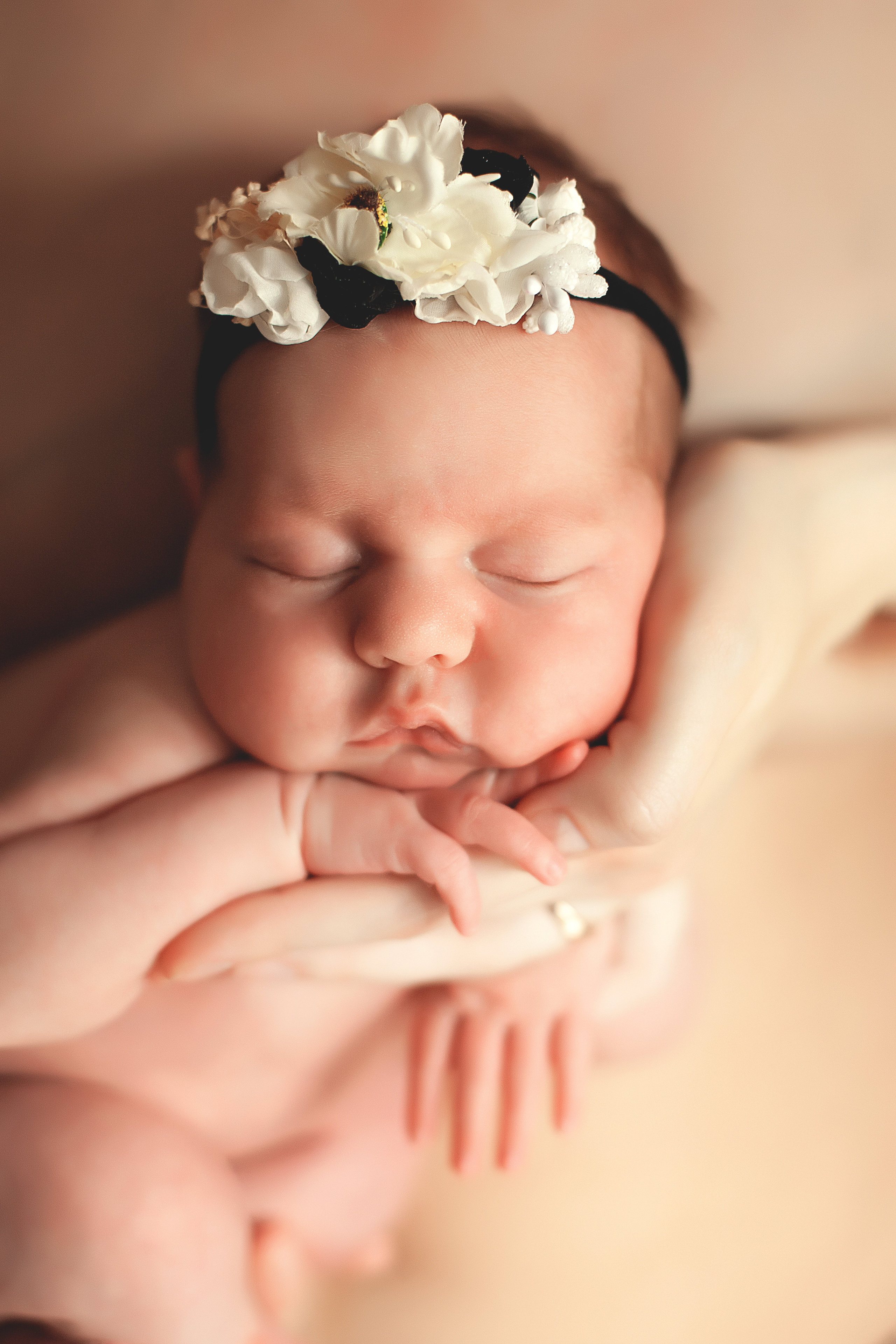 Фотограф новорожденных в Брянске. Фотограф новорожденных в Брянске Анжелика Прохоренкова