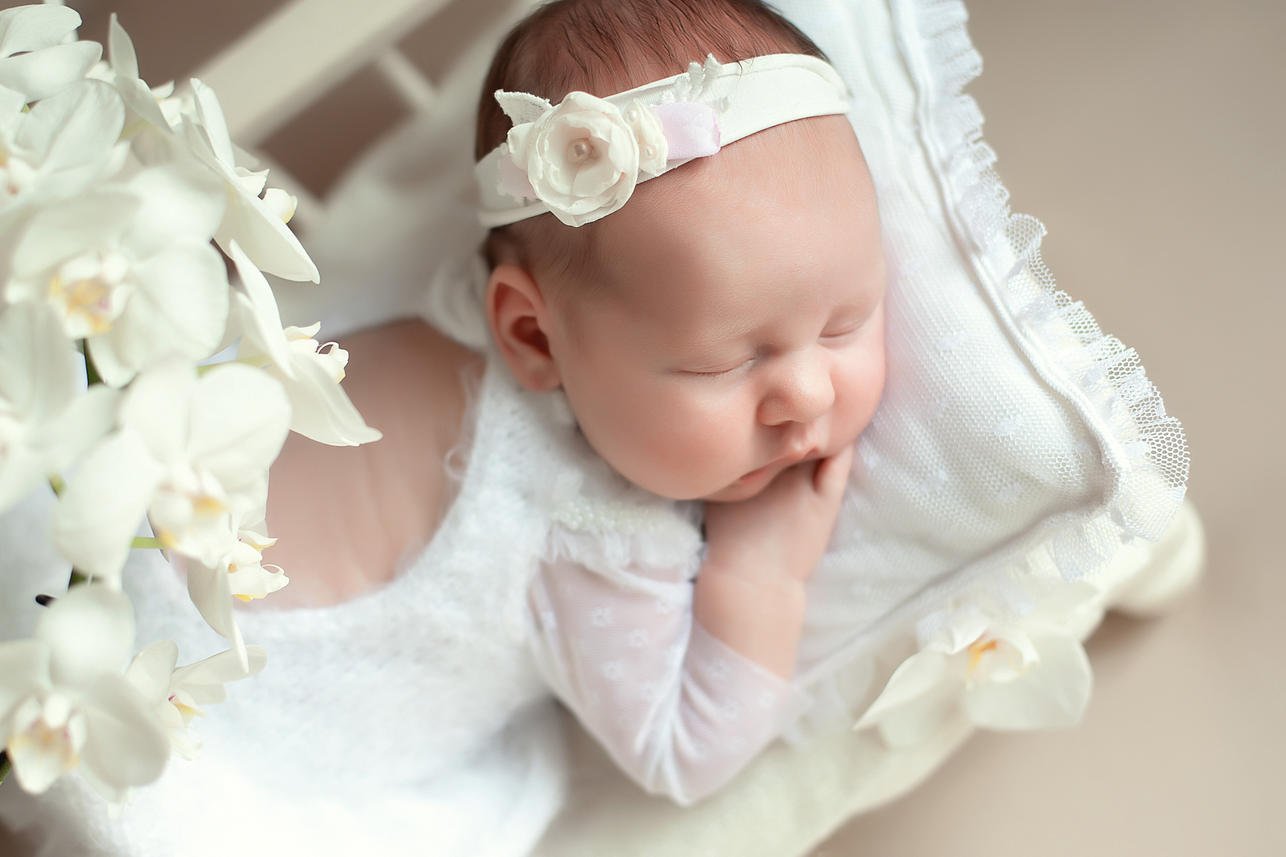 Фотограф новорожденных в Брянске. Фотограф новорожденных в Брянске Анжелика Прохоренкова