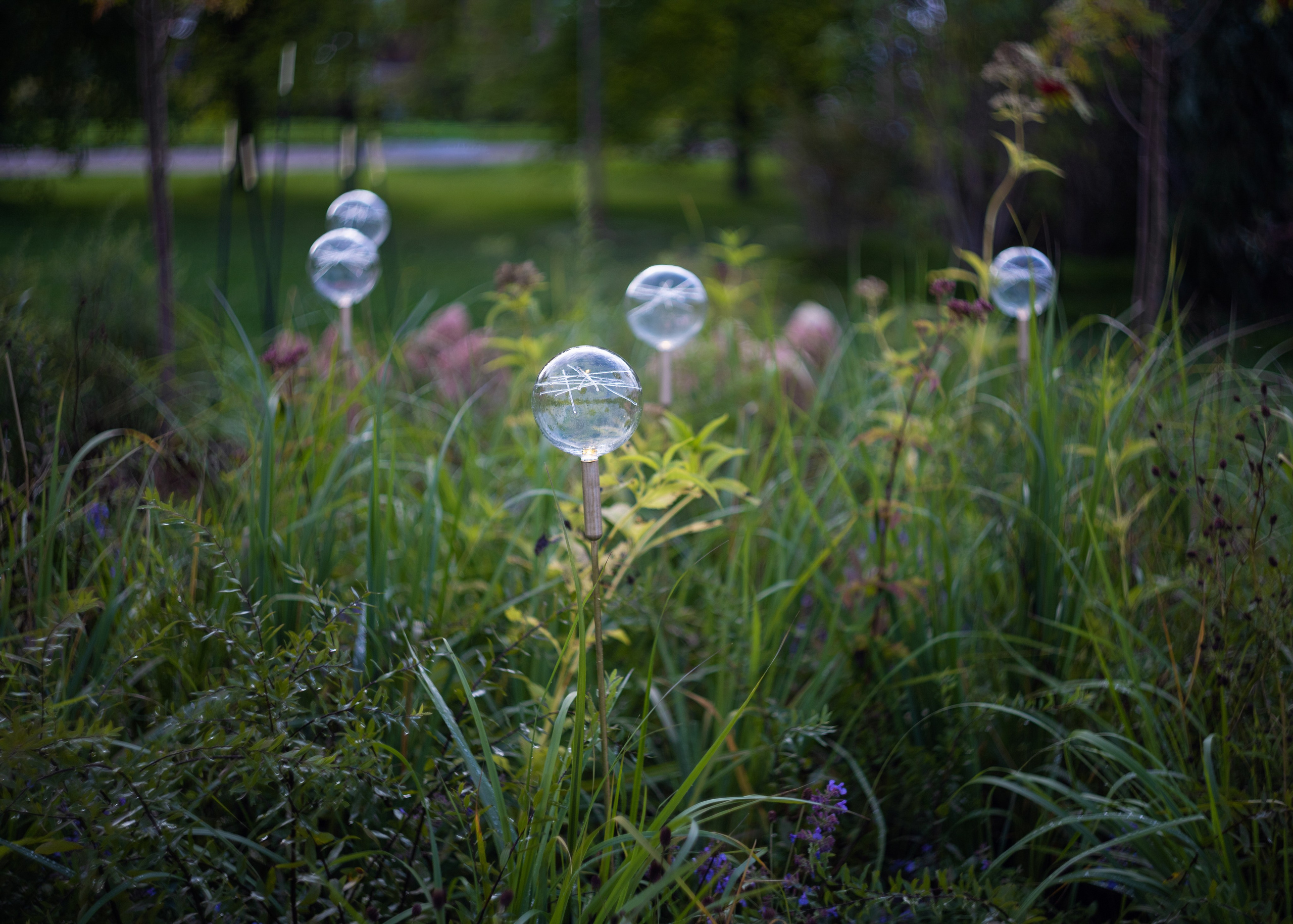 Ландшафтный дизайн. Фотограф Наталья Молчанова