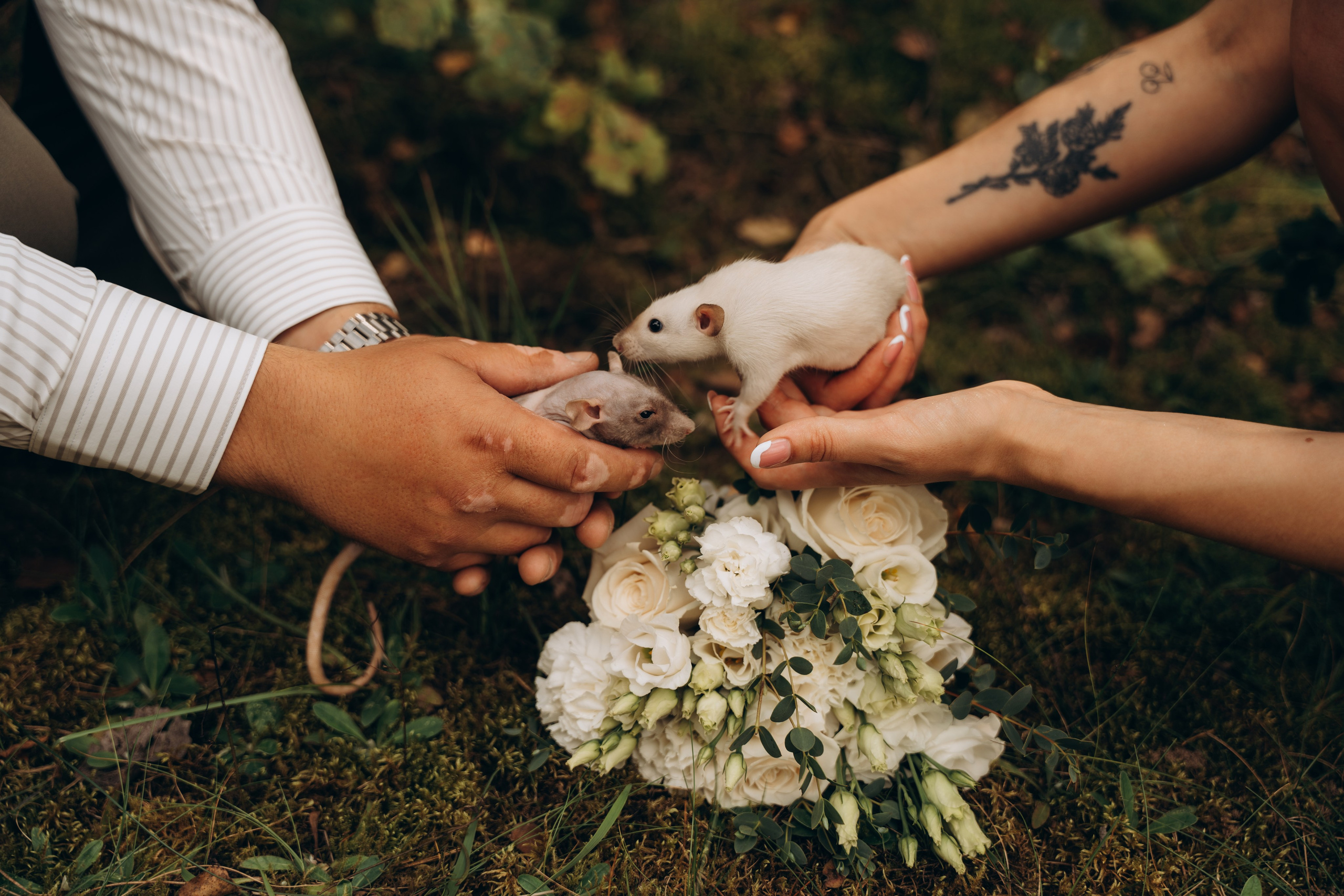 Вероника + Саша. Фотограф Мария Миллс | Минск