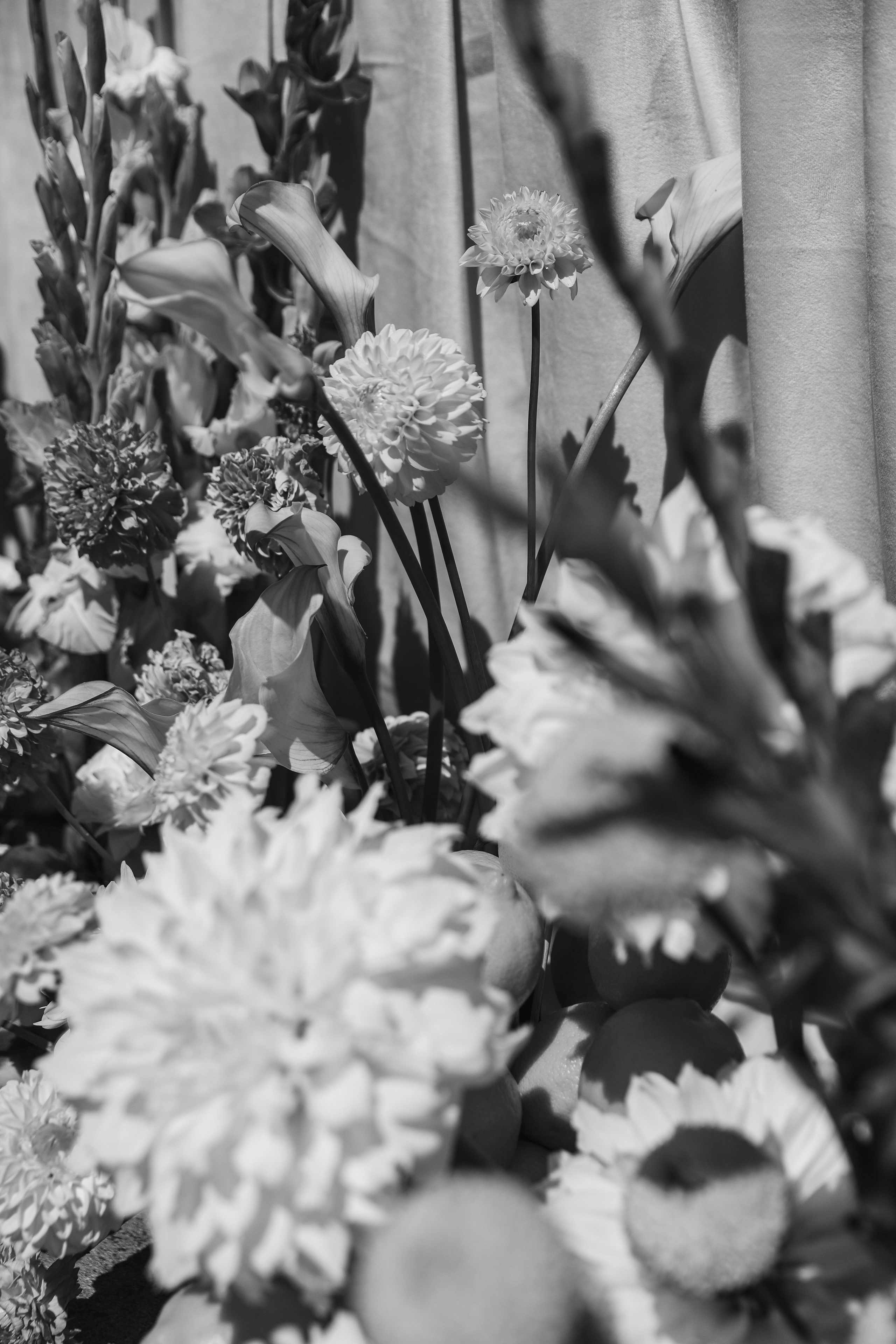 Анонс свадьба в Сочи Александр и Екатерина. Свадебный и семейный фотограф в Севастополе и Крыму Анастасия Сураева