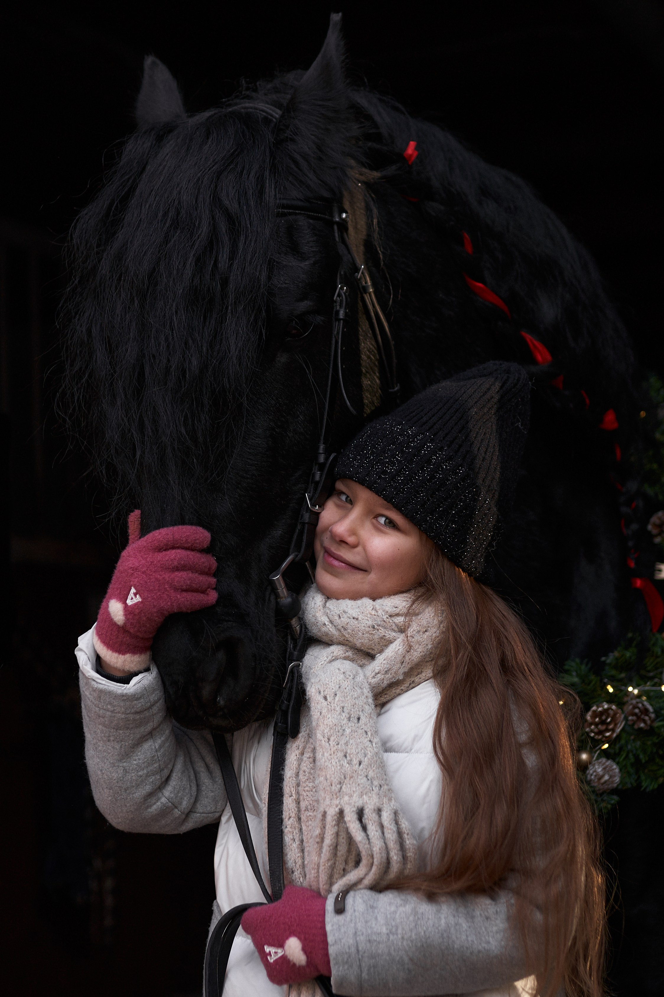 Новогодний Фотодень с фризским жеребцом. Фотосессии с лошадьми в Москве, Новосибирске