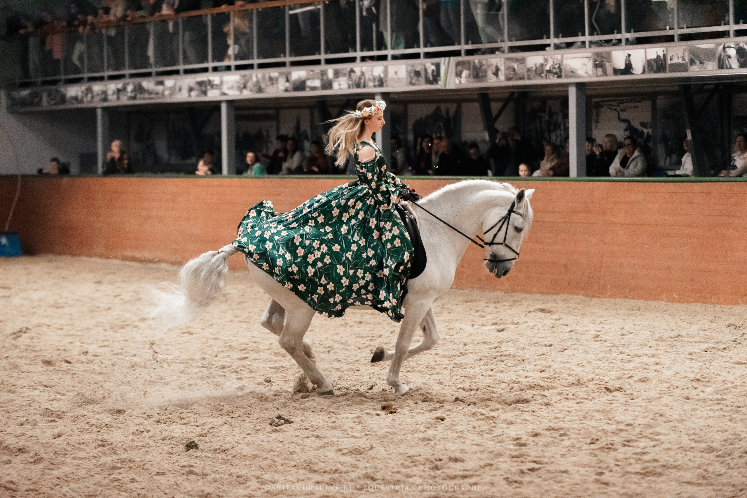 Конное представление «Дыхание Звёзд». Конный фотограф Куракина Дарья • Фотосессии с лошадьми
