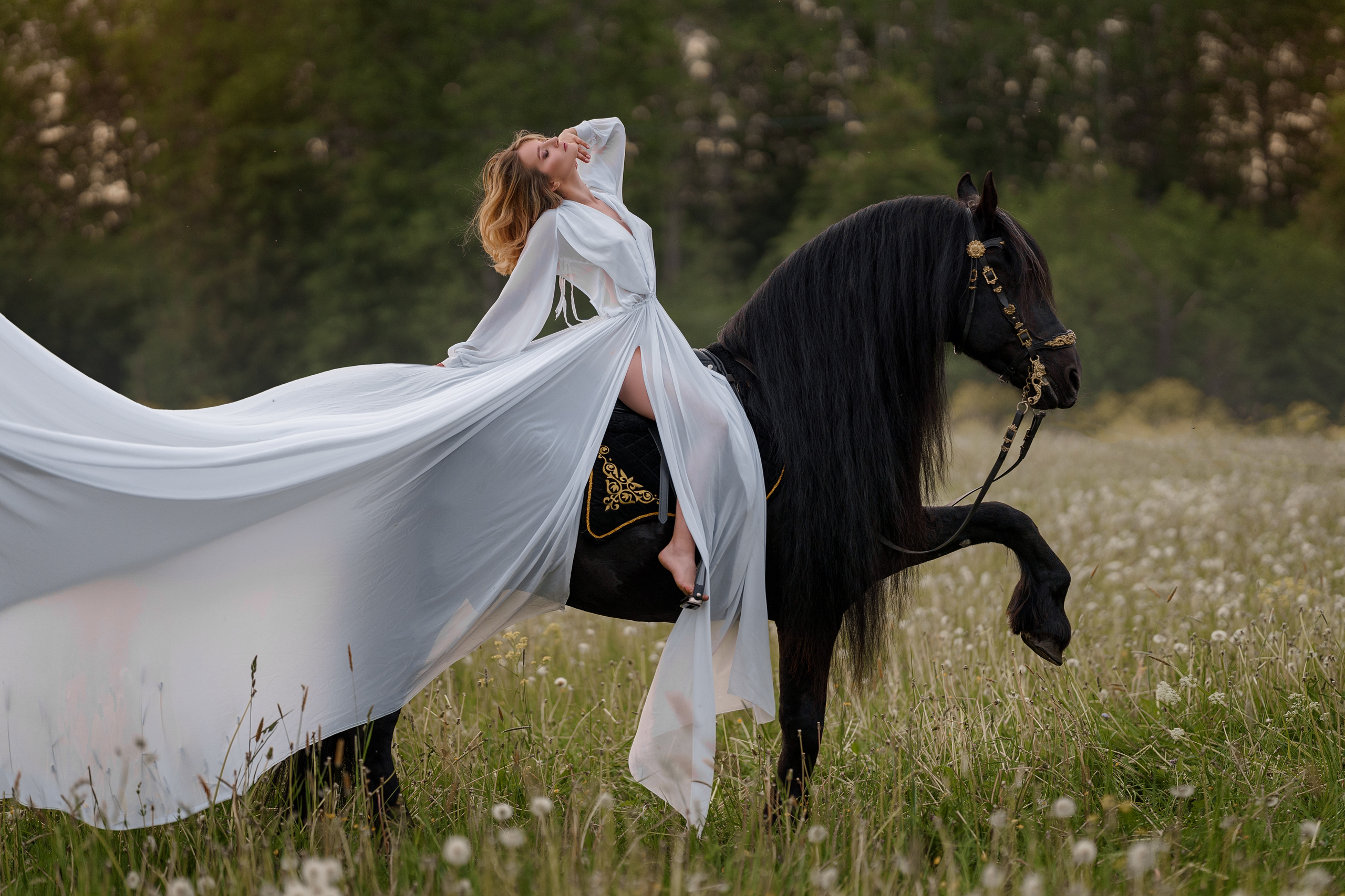 Фотосессии с лошадьми. Фотограф Артемьева Катерина|фотосессии с лошадьми