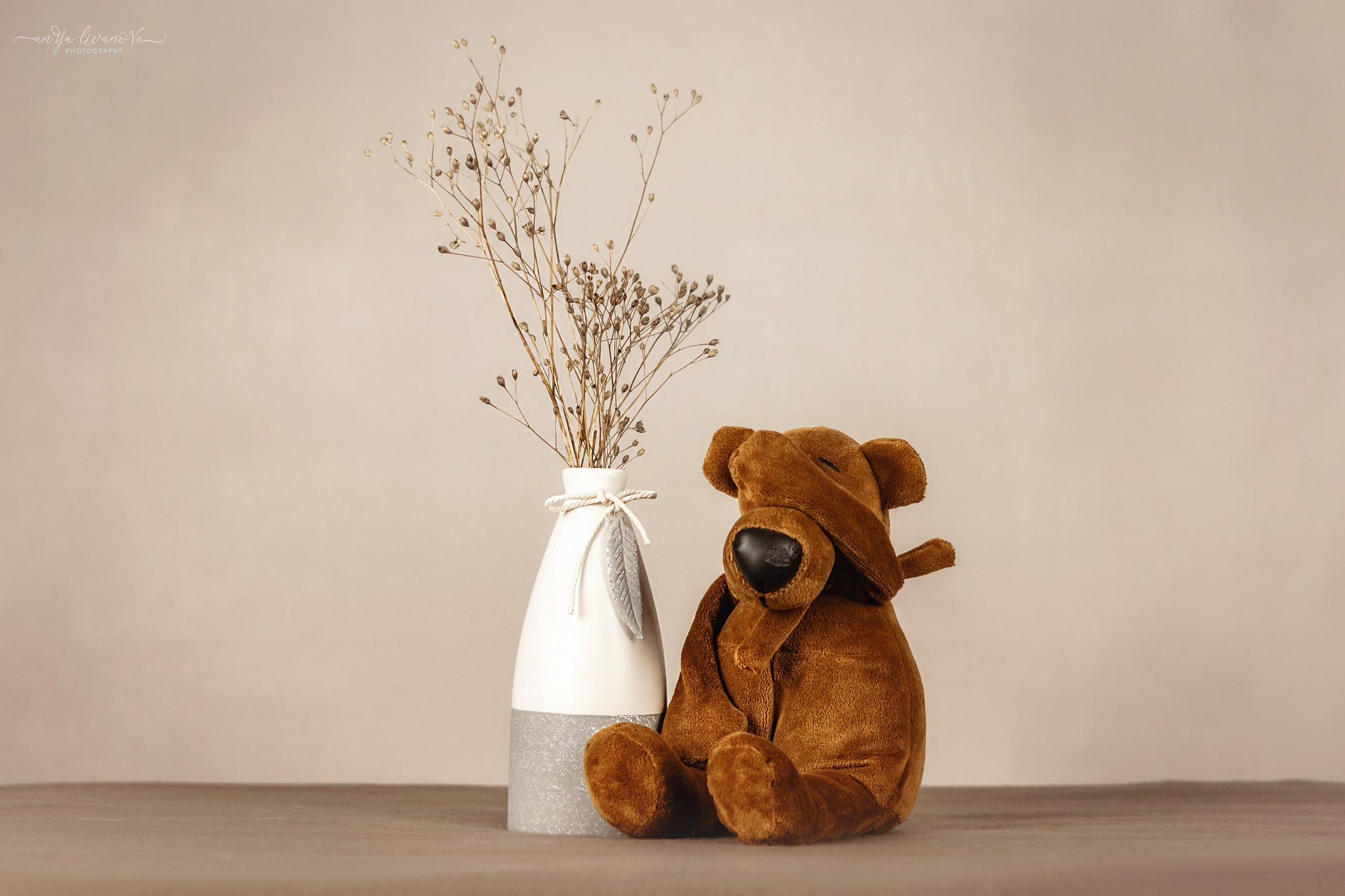 Светлый фон. Фотограф анималист Аня Ливанова | Рыбинск