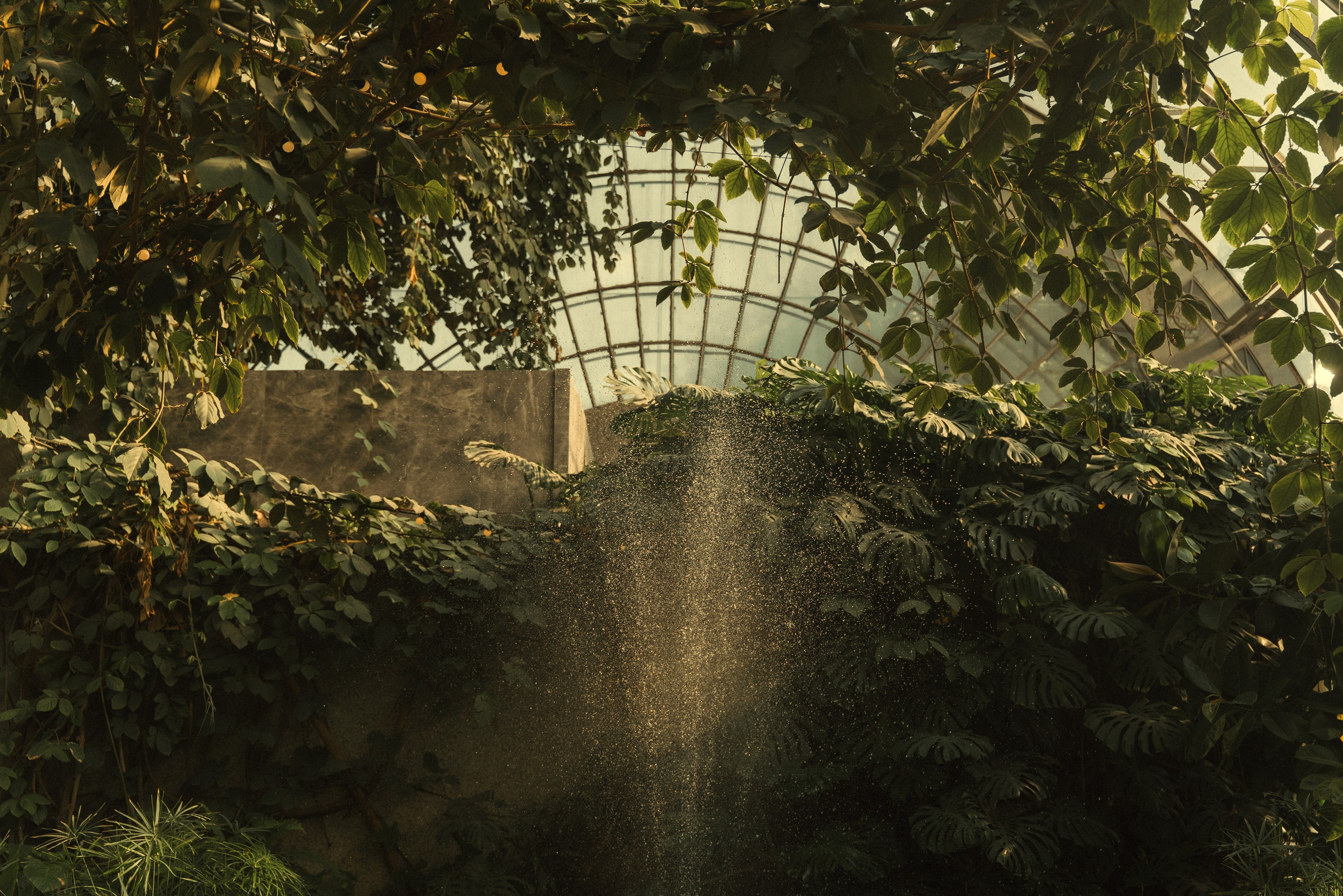 Свадьба Веры и Романа