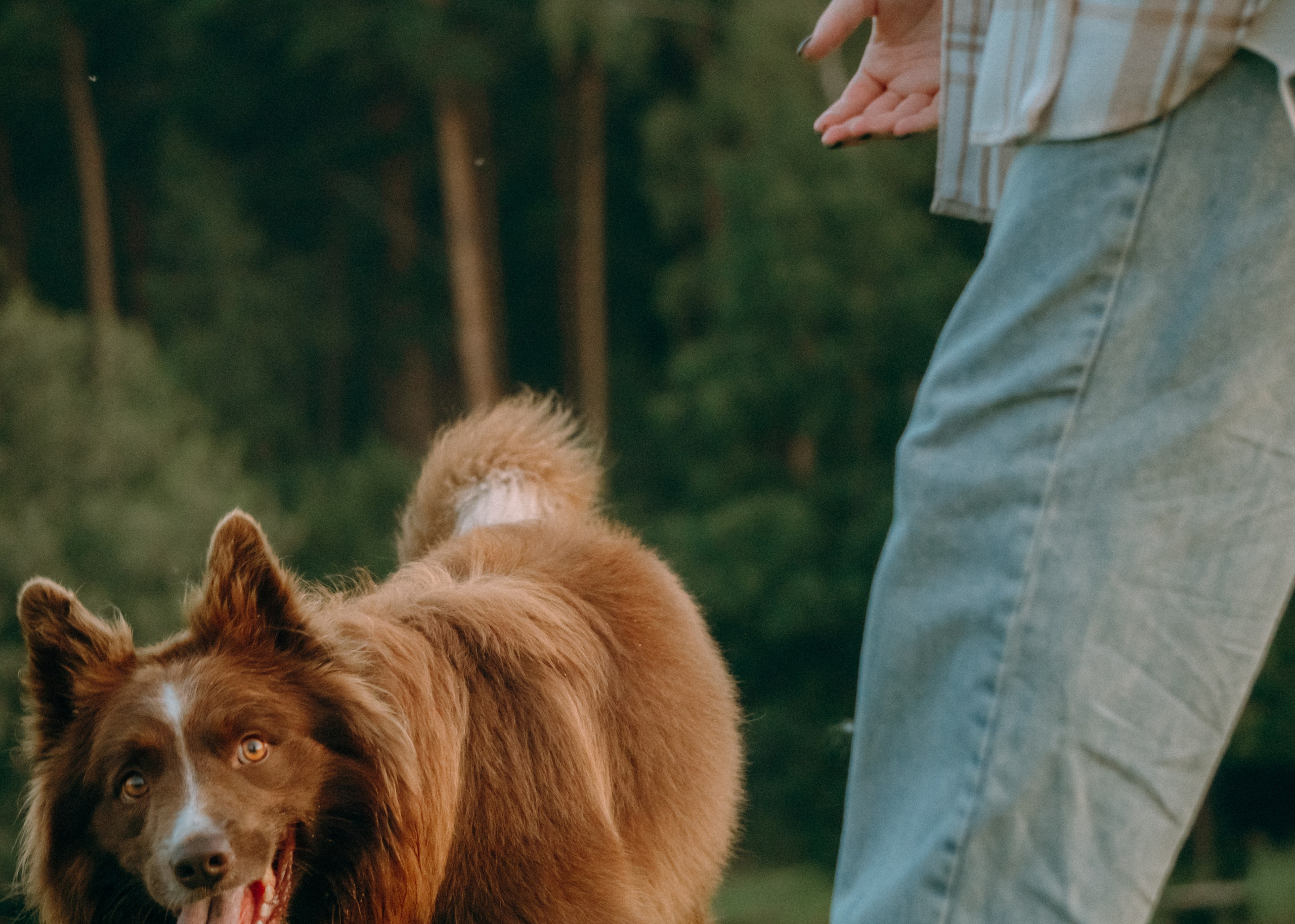 Виолетта, Лила и Питер. Фотограф-анималист Ксения Воробьева, Москва