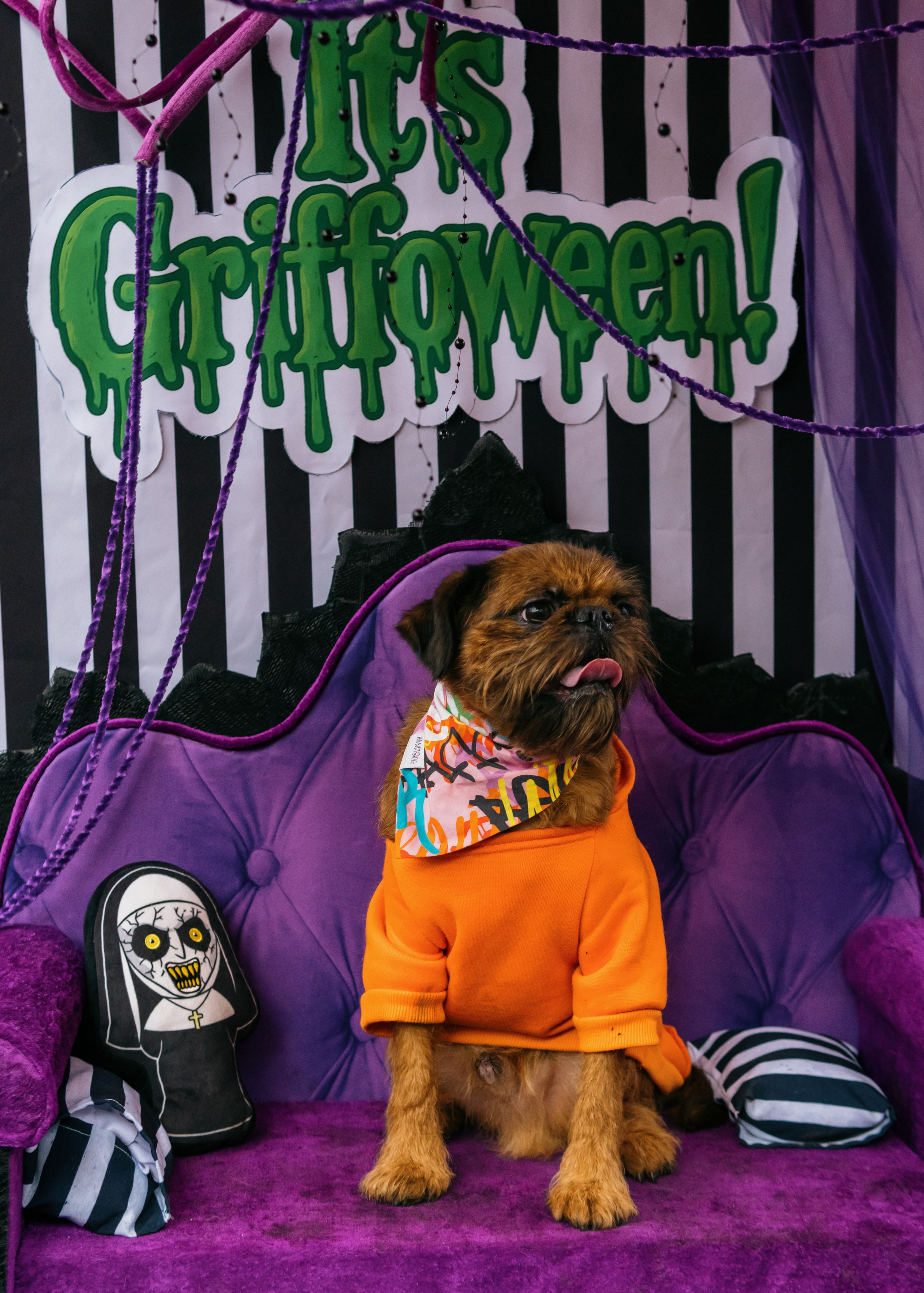 Тематическая встреча породников «Griffween». Фотограф-анималист Ксения Воробьева, Москва