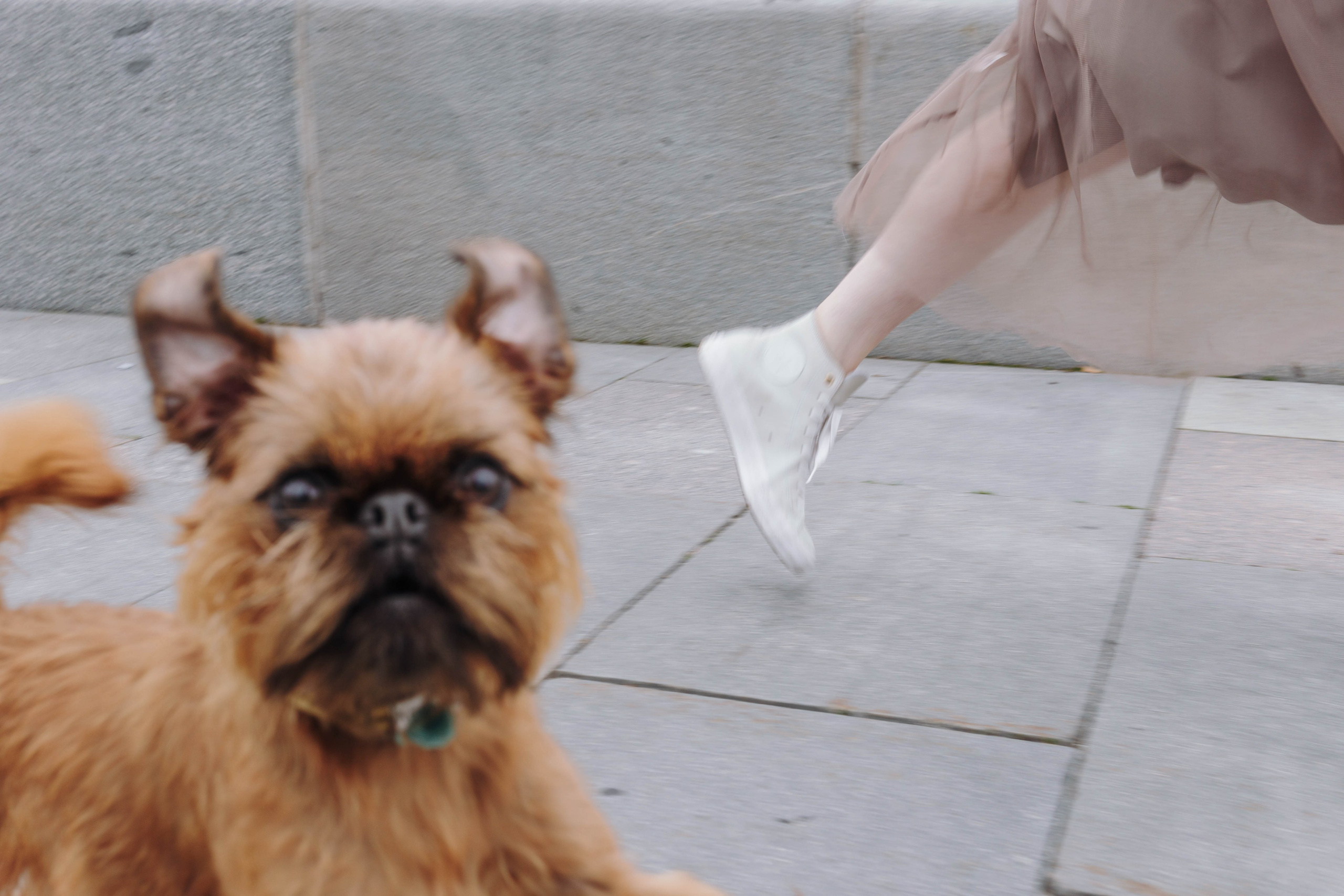 Наташа, Сережа и Хавьер. Фотограф-анималист Ксения Воробьева, Москва