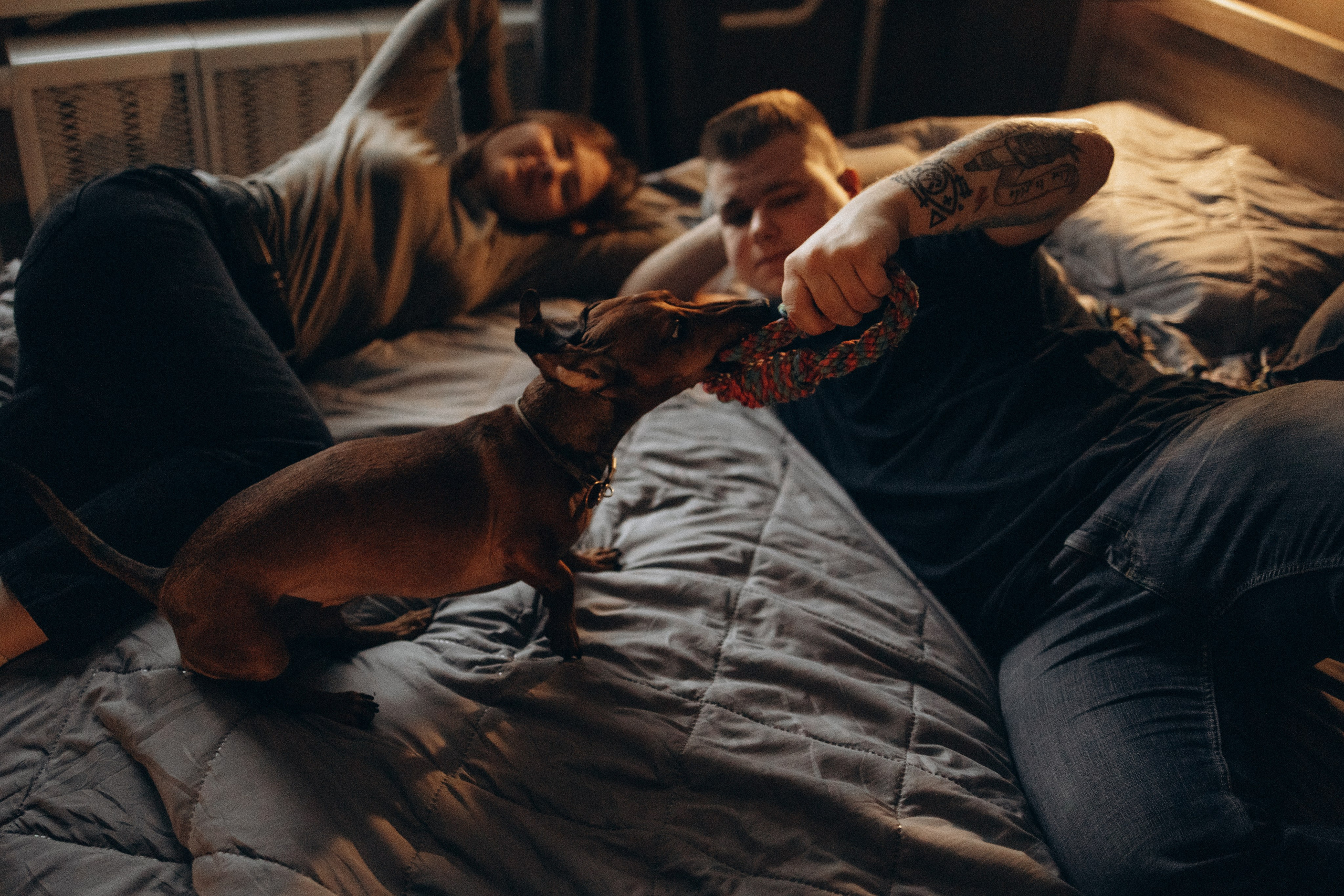 Маша и ее семья. Фотораф — анималист Мария Шистка