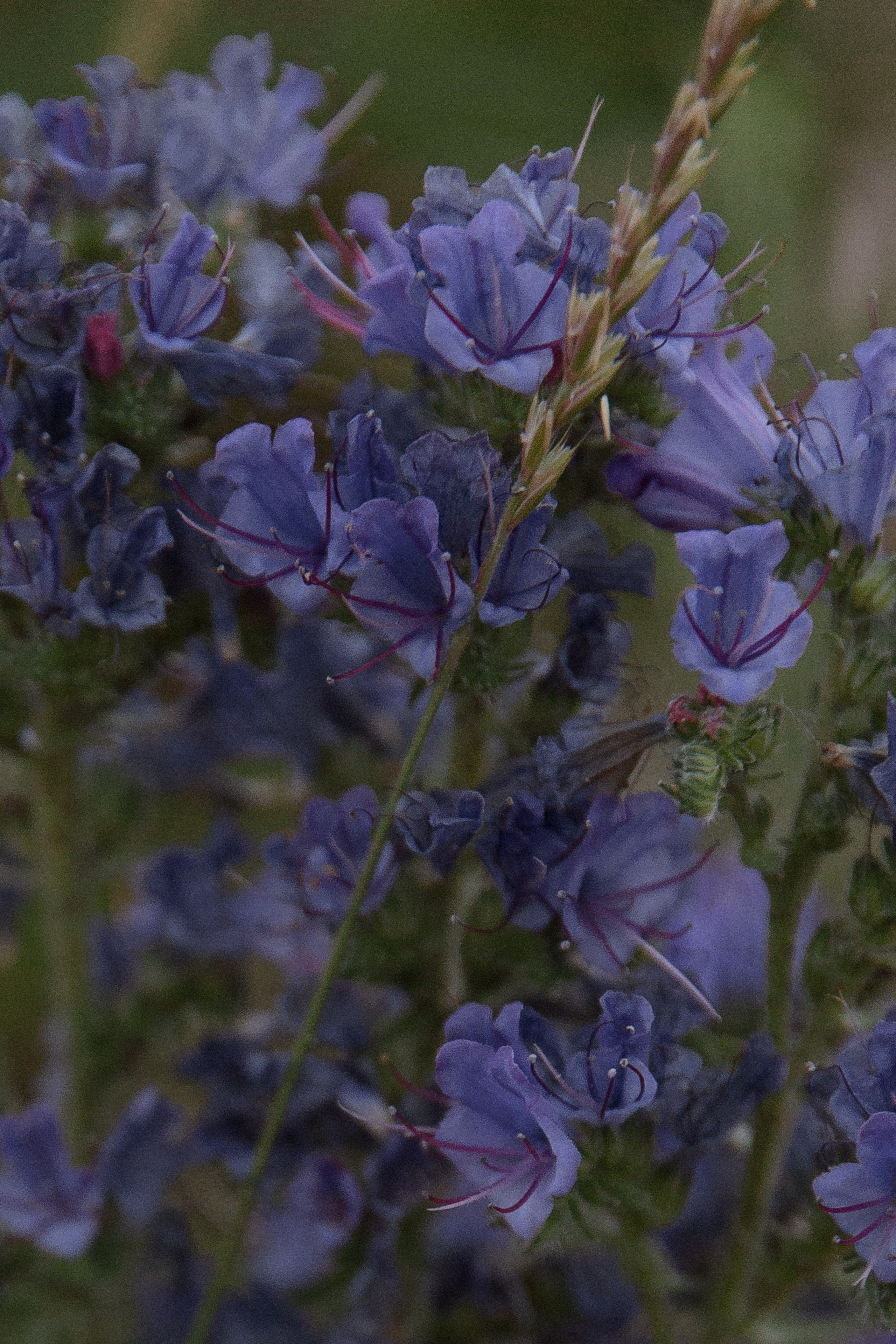 At the soul level. Свадебный фотограф Колесников Антон