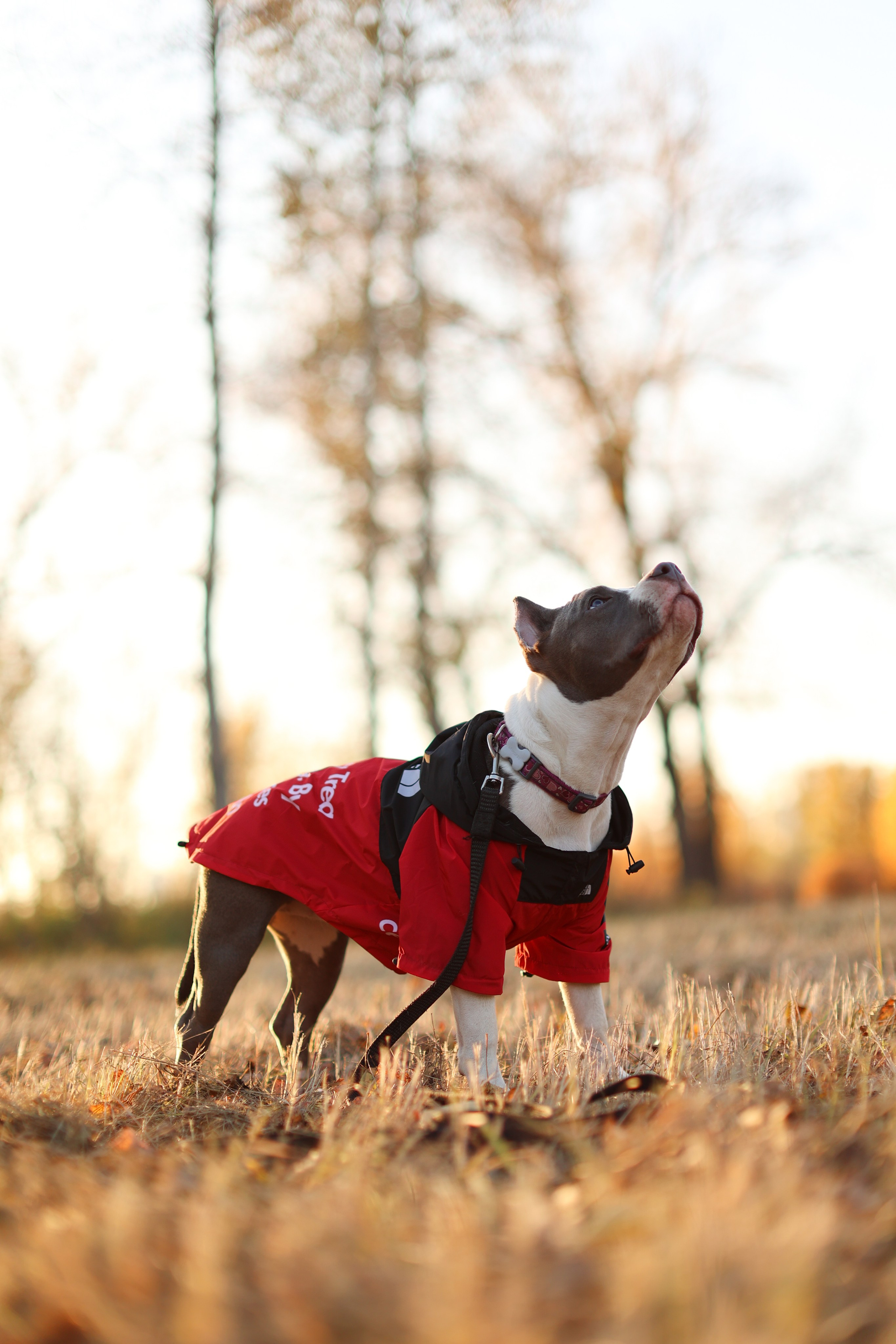 Осень. Art my Pho