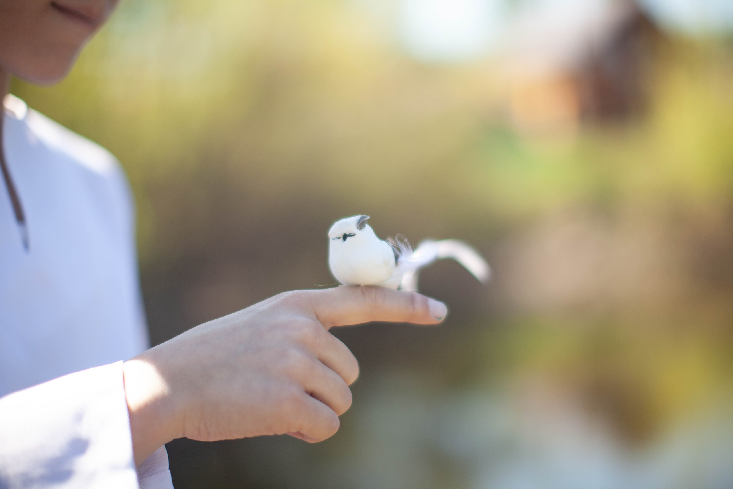 Летний день. Art my Pho