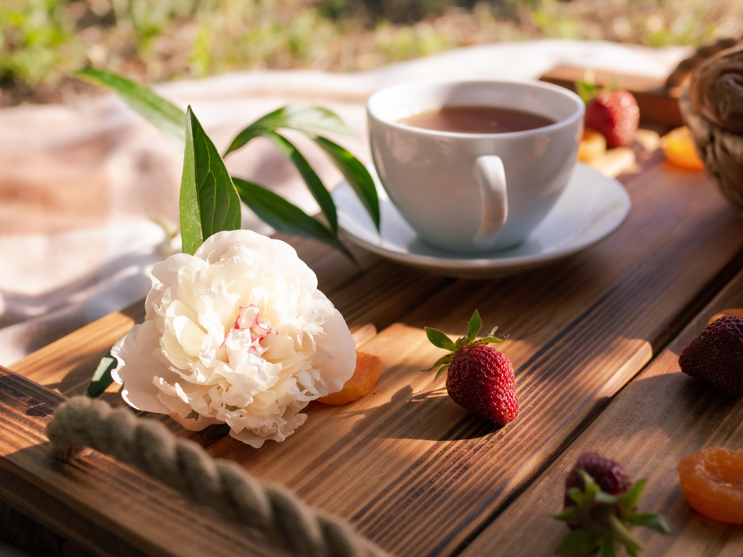 Индивидуальная съёмка. Семейный фотограф в Марксе Светлана Шибаршина