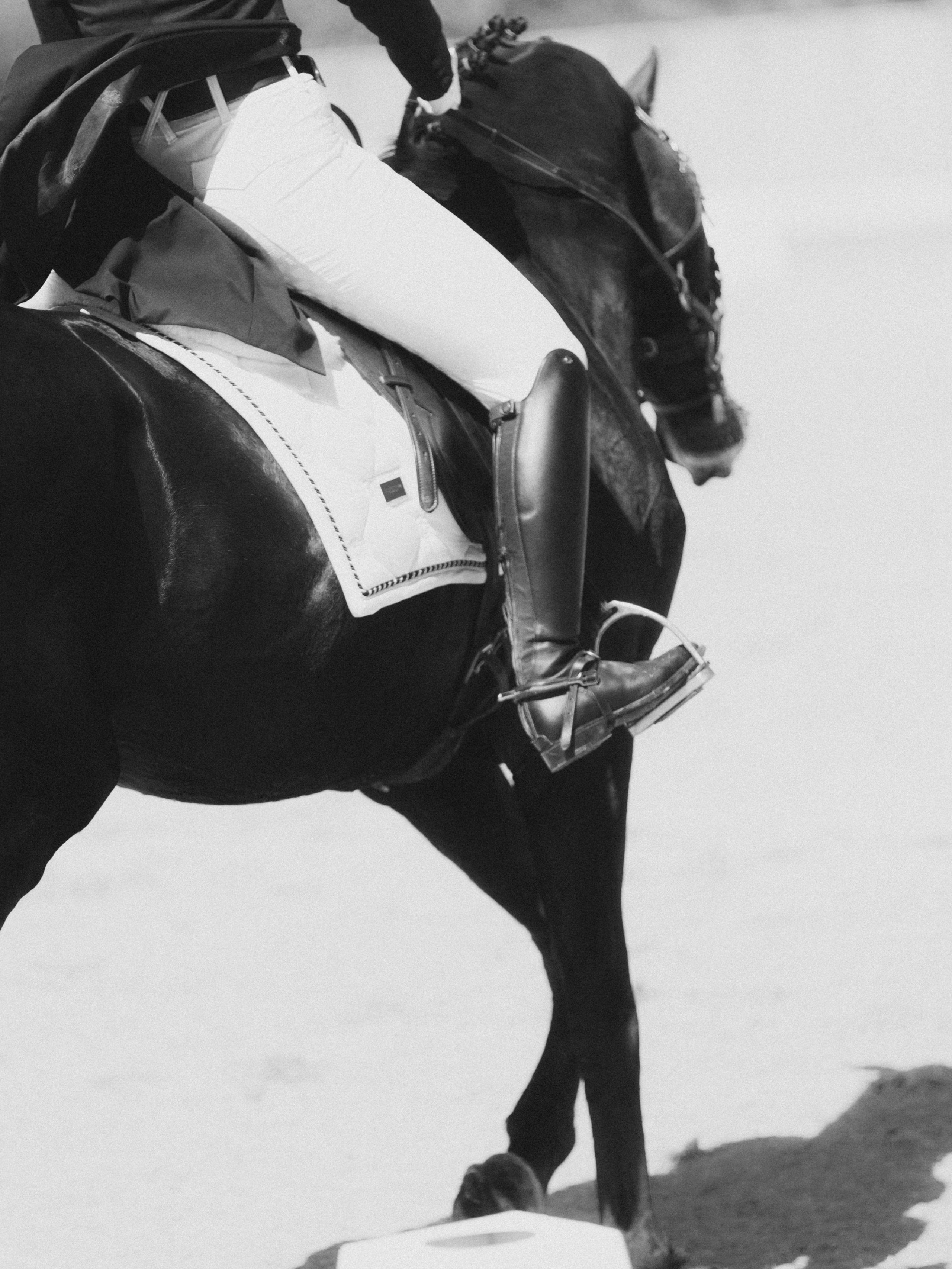 Спортивные фото/видео съёмки (конкур, выездка). Конный фотограф в Калининграде Елена Курбатова